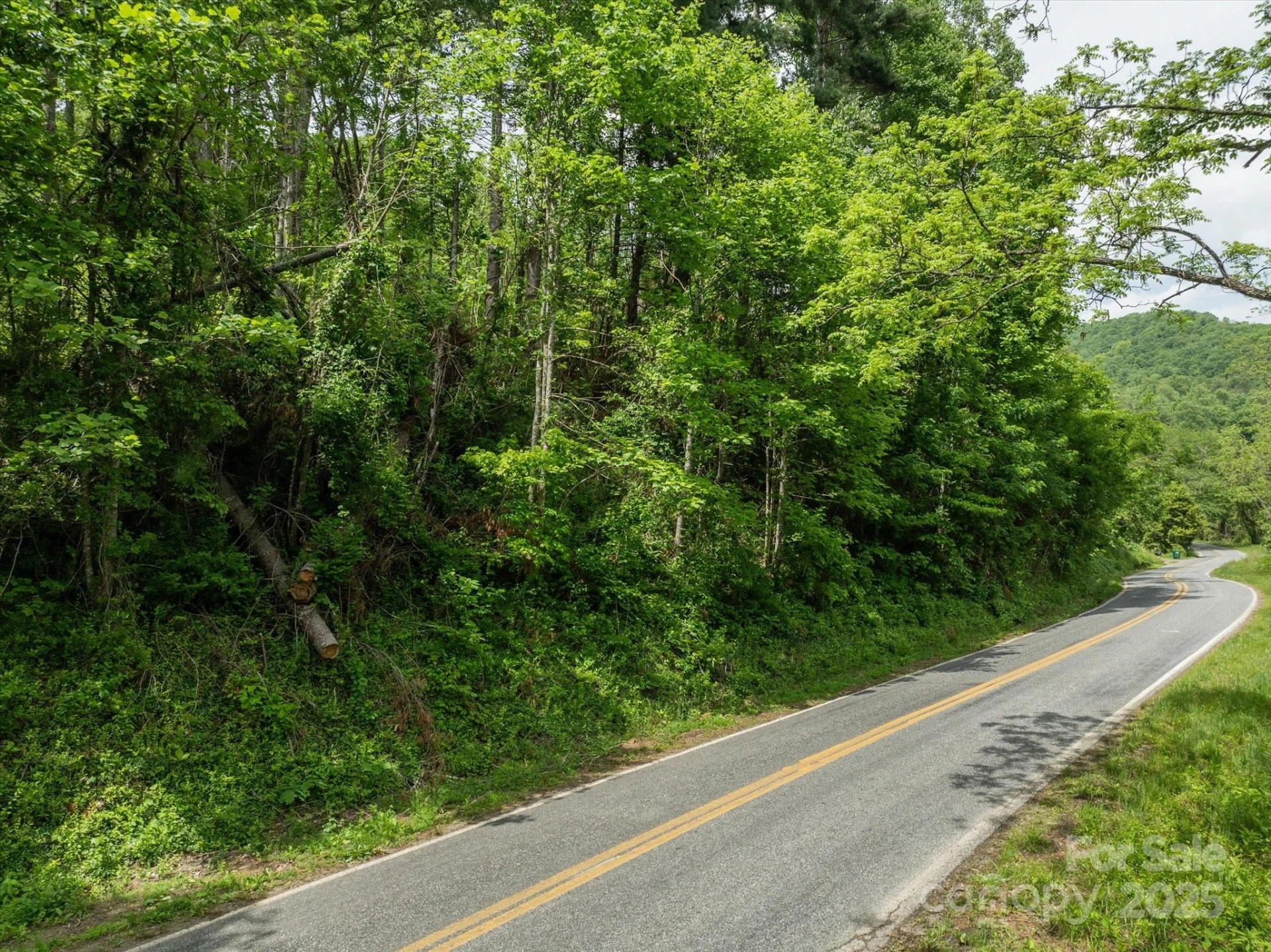 99999 Moody Cove Road #2 - Photo 8