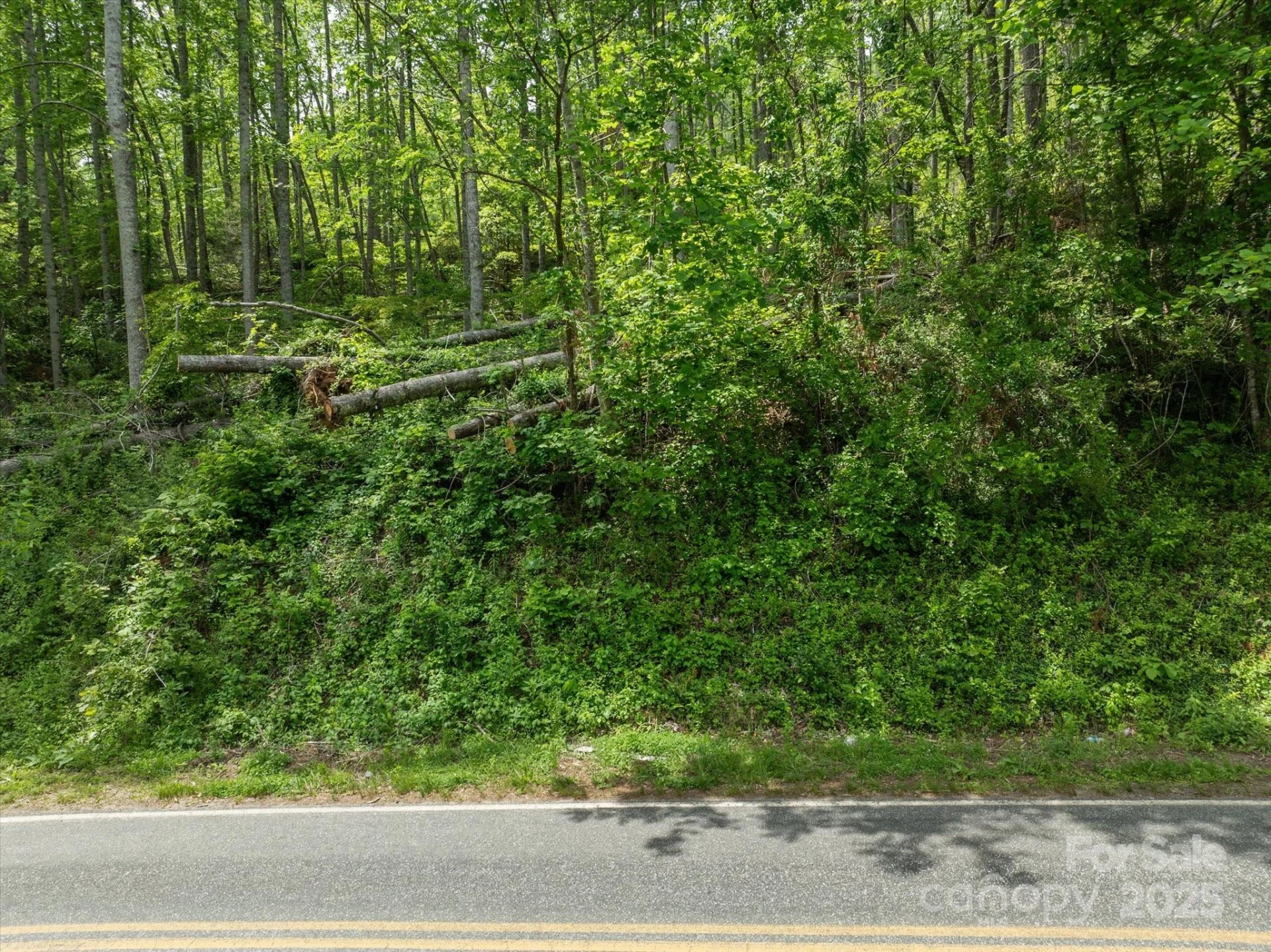 99999 Moody Cove Road #2 - Photo 9