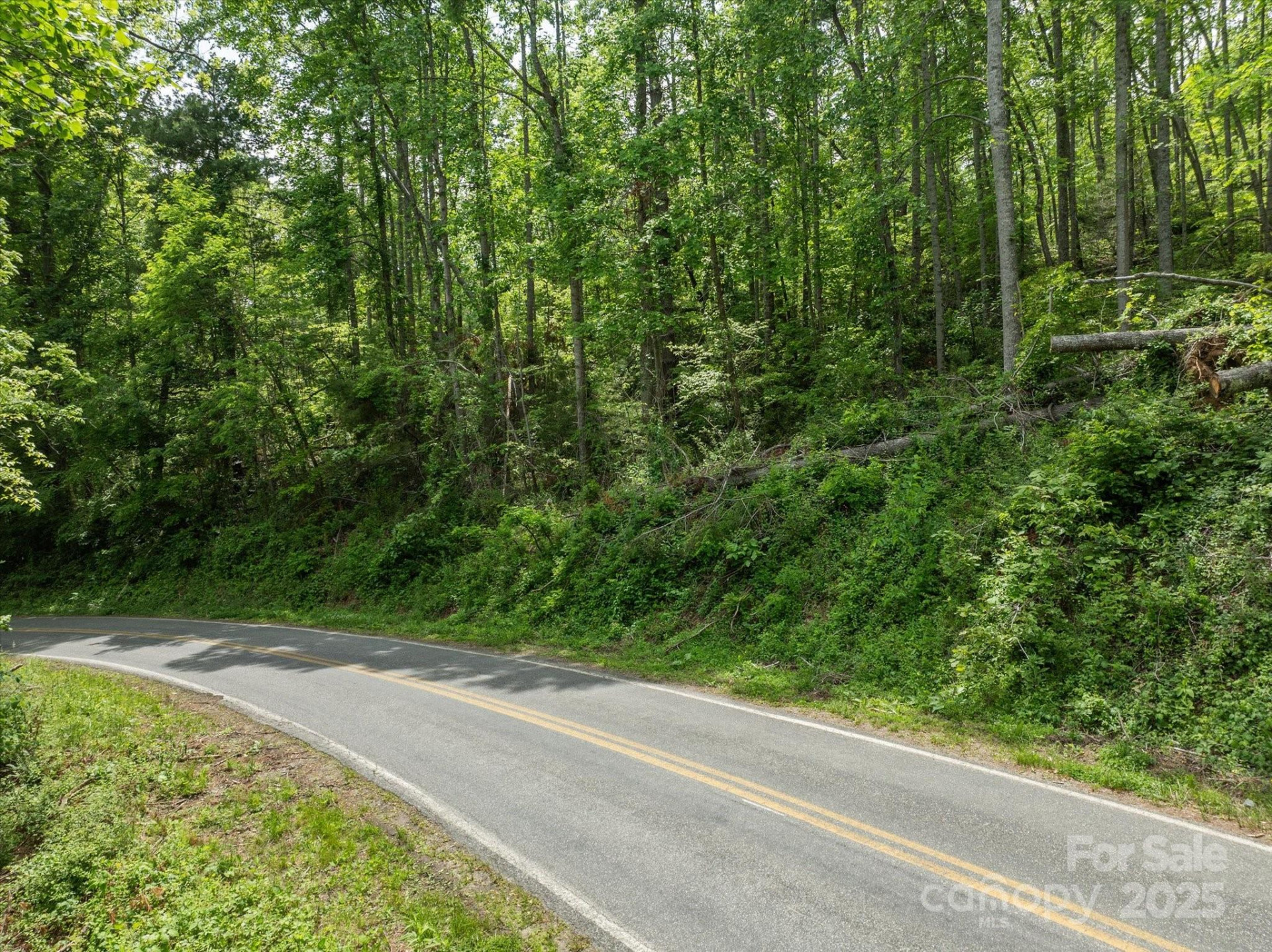 99999 Moody Cove Road #2 - Photo 10