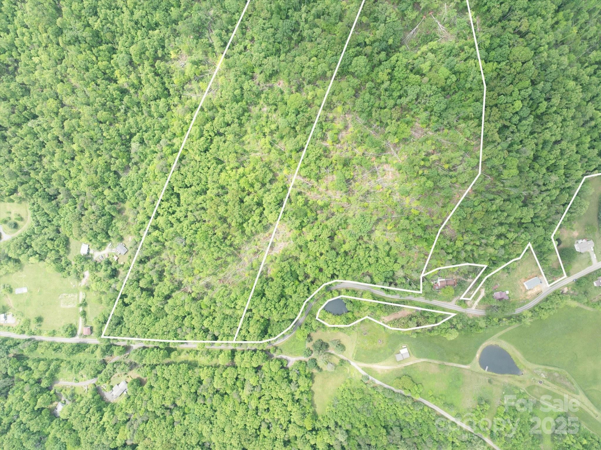 99999 Moody Cove Road #3 - Photo 3