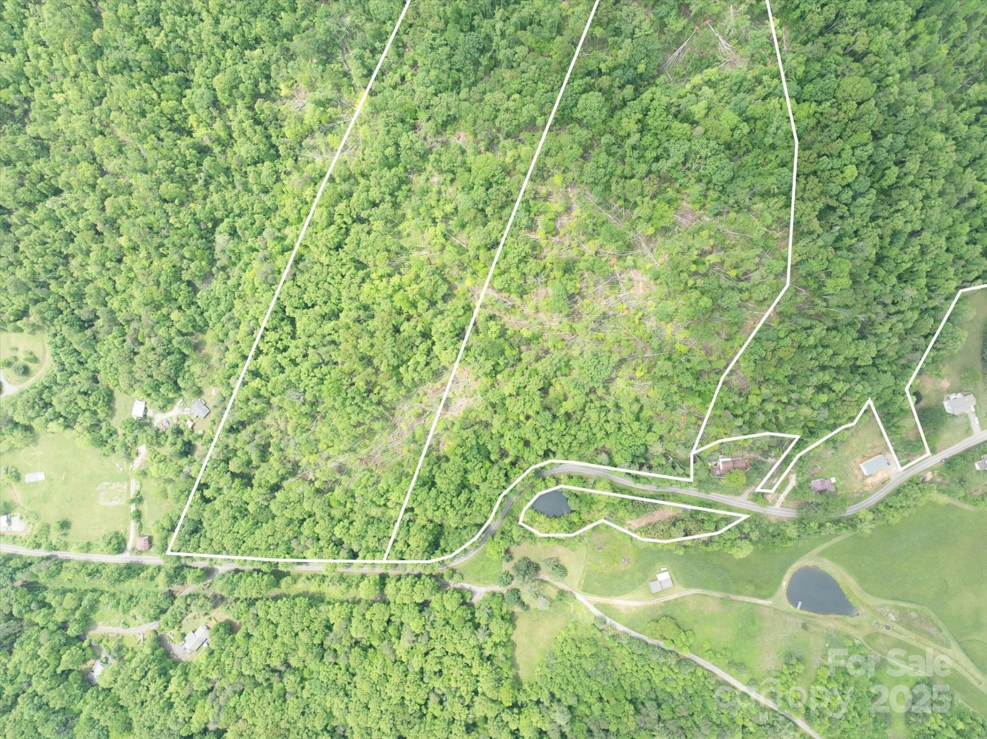 99999 Moody Cove Road #3 - Photo 3