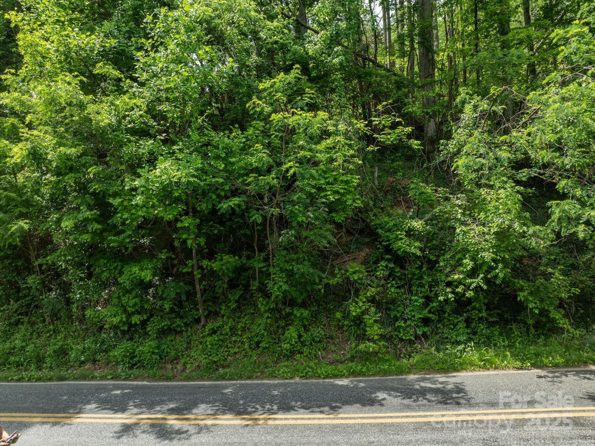 99999 Moody Cove Road #3 - Photo 7