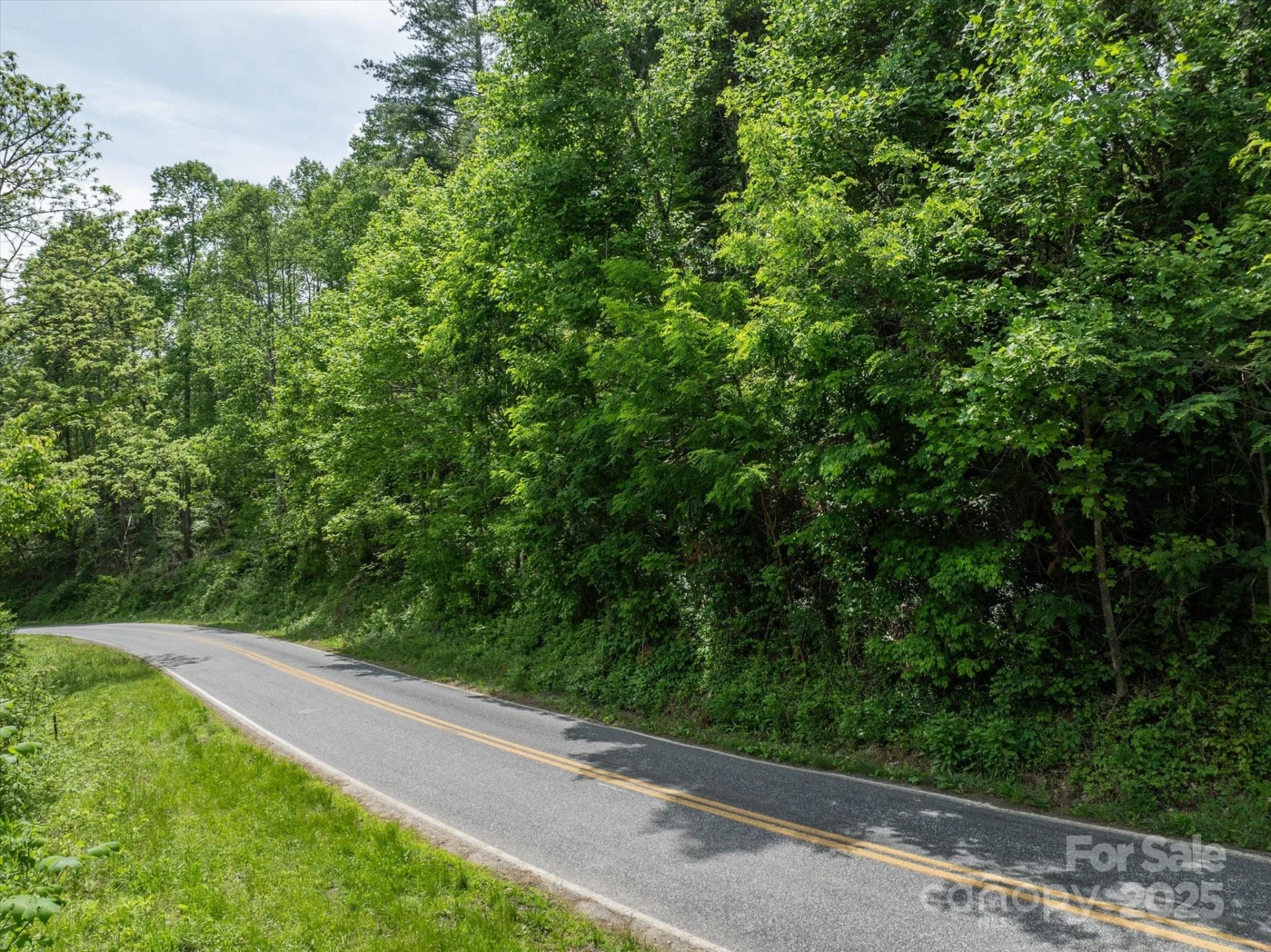 99999 Moody Cove Road #3 - Photo 8