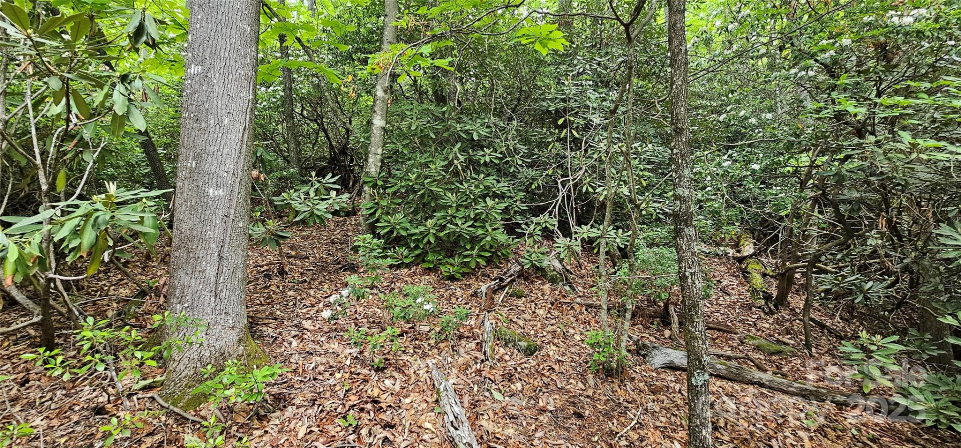 TBD Ridge Cove Drive #54 & 55 - Photo 11