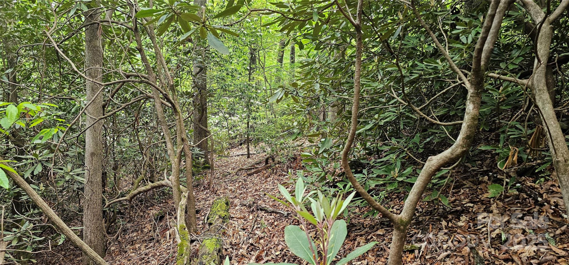 TBD Ridge Cove Drive #54 & 55 - Photo 13