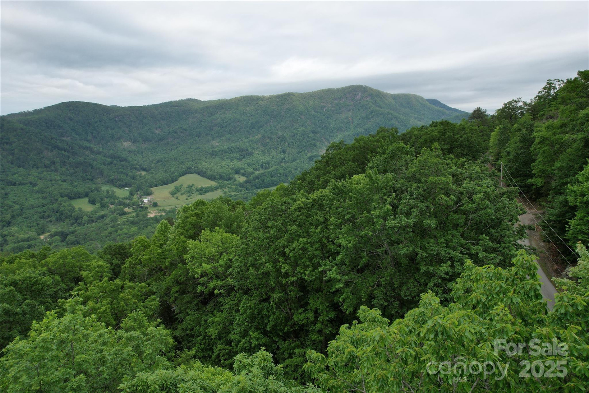 TBD Ridge Cove Drive #54 & 55 - Photo 22