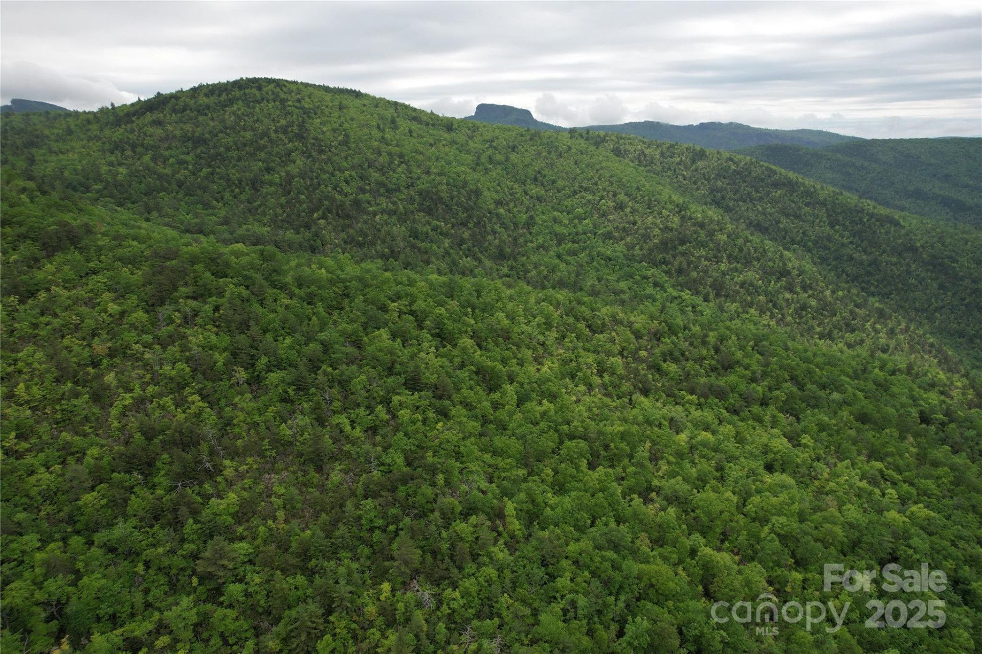 TBD Ridge Cove Drive #54 & 55 - Photo 23