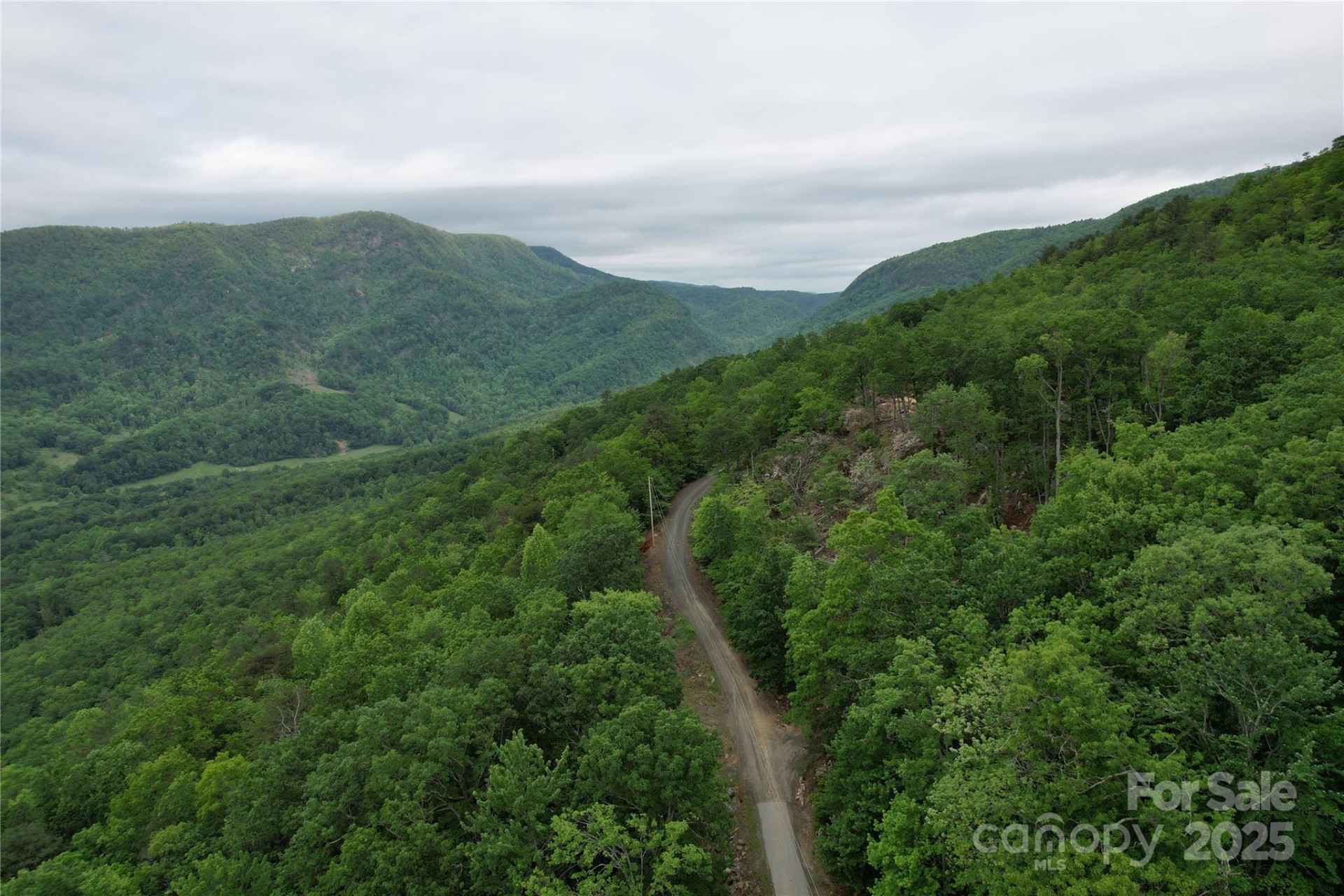 TBD Ridge Cove Drive #54 & 55 - Photo 24