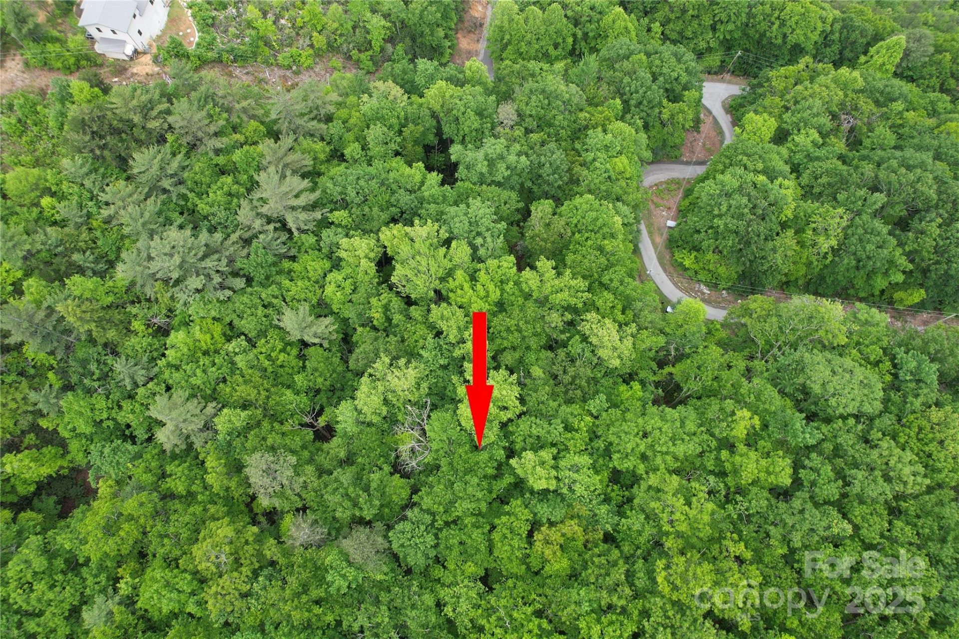 TBD Ridge Cove Drive #54 & 55 - Photo 26