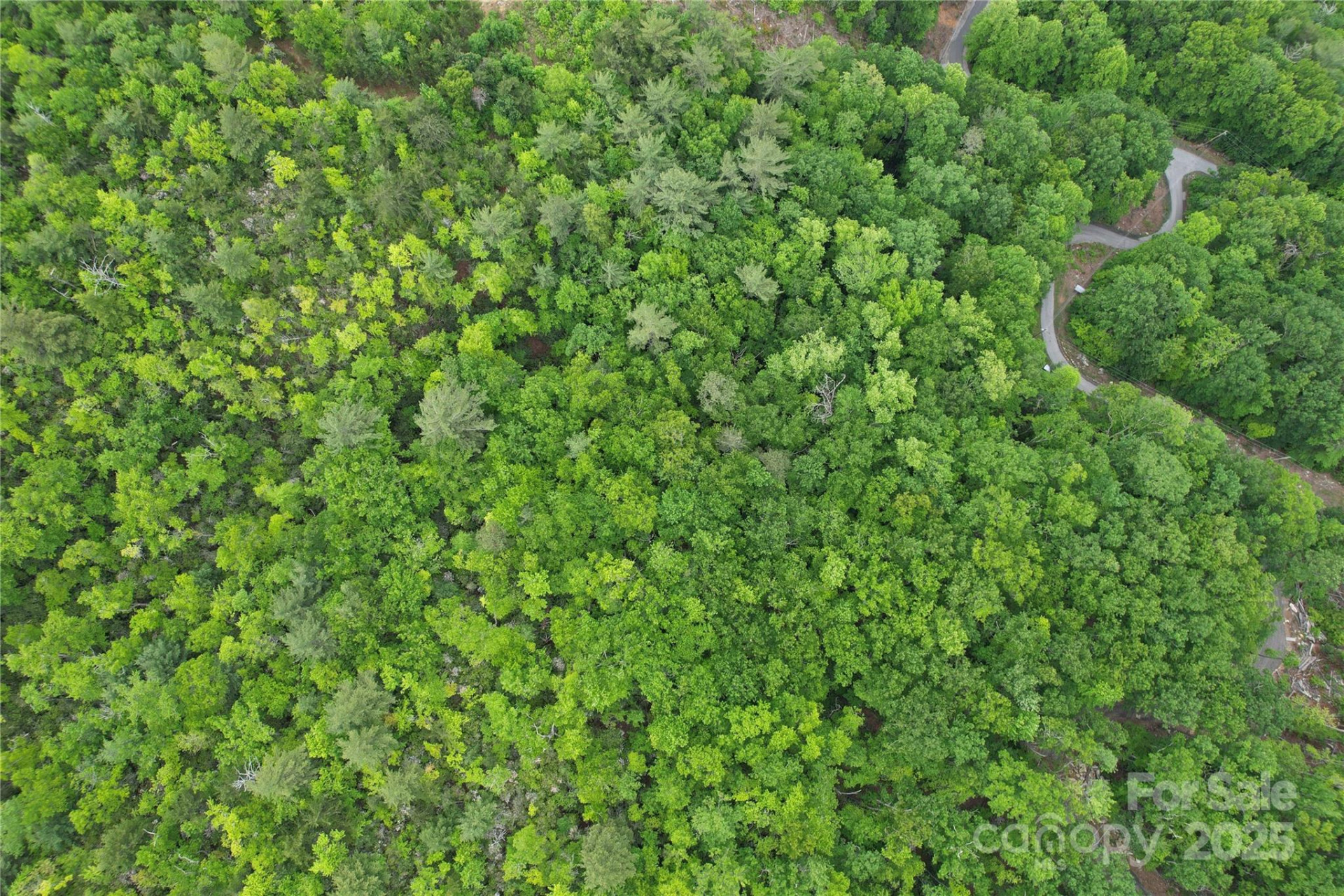 TBD Ridge Cove Drive #54 & 55 - Photo 28