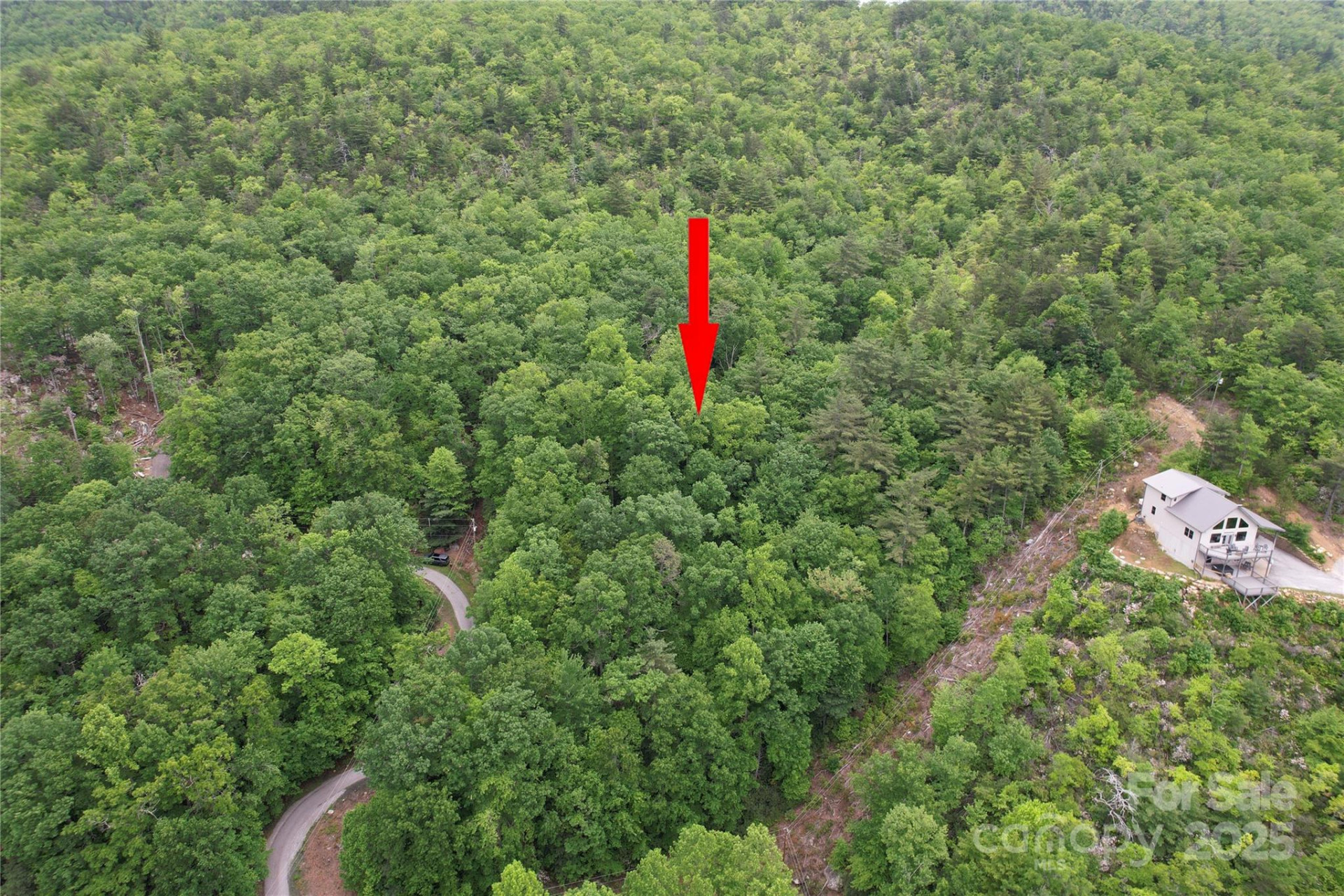 TBD Ridge Cove Drive #54 & 55 - Photo 30