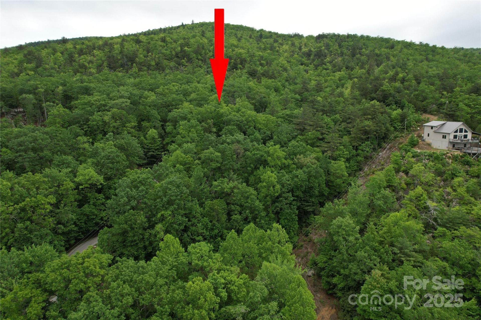 TBD Ridge Cove Drive #54 & 55 - Photo 31