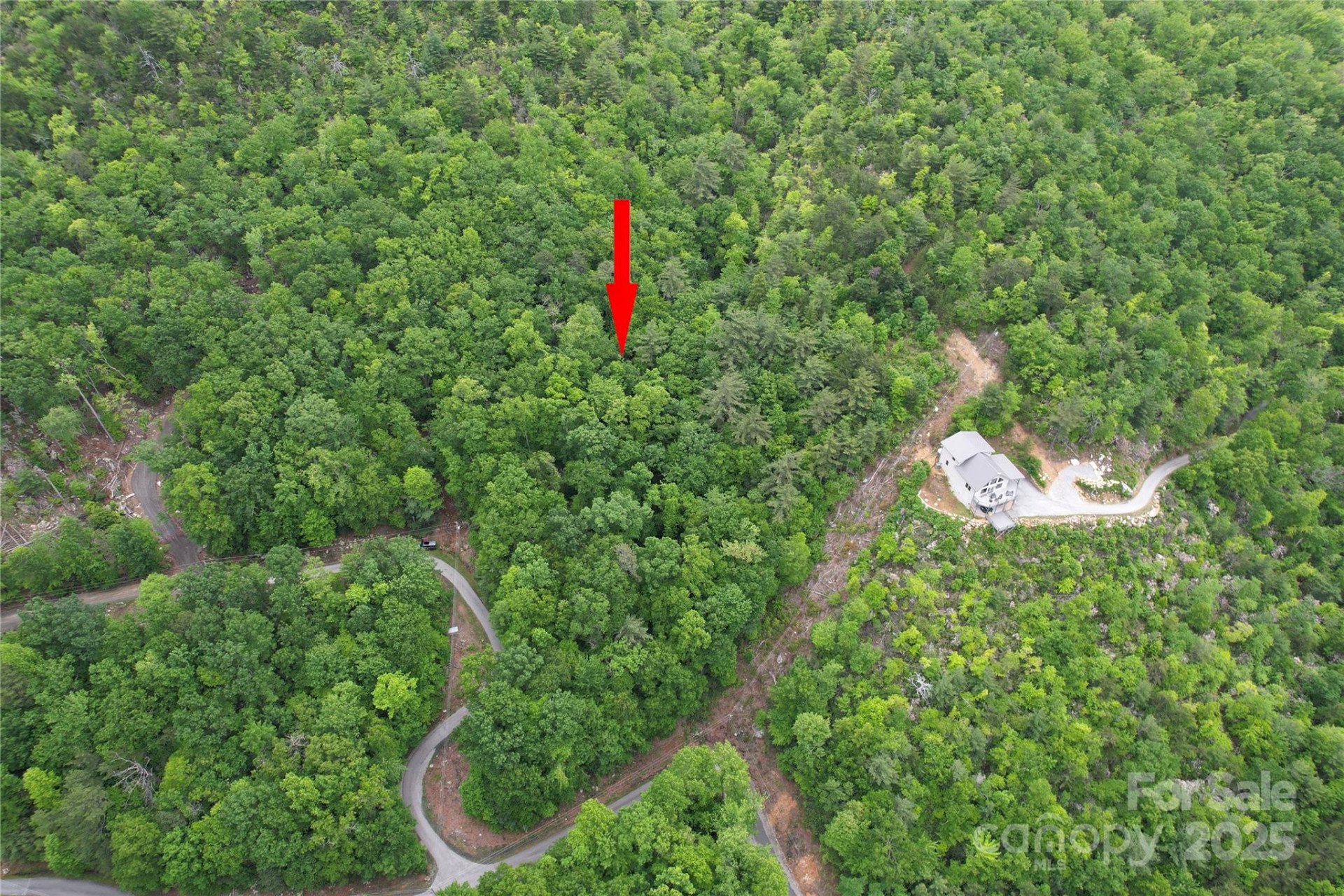 TBD Ridge Cove Drive #54 & 55 - Photo 32