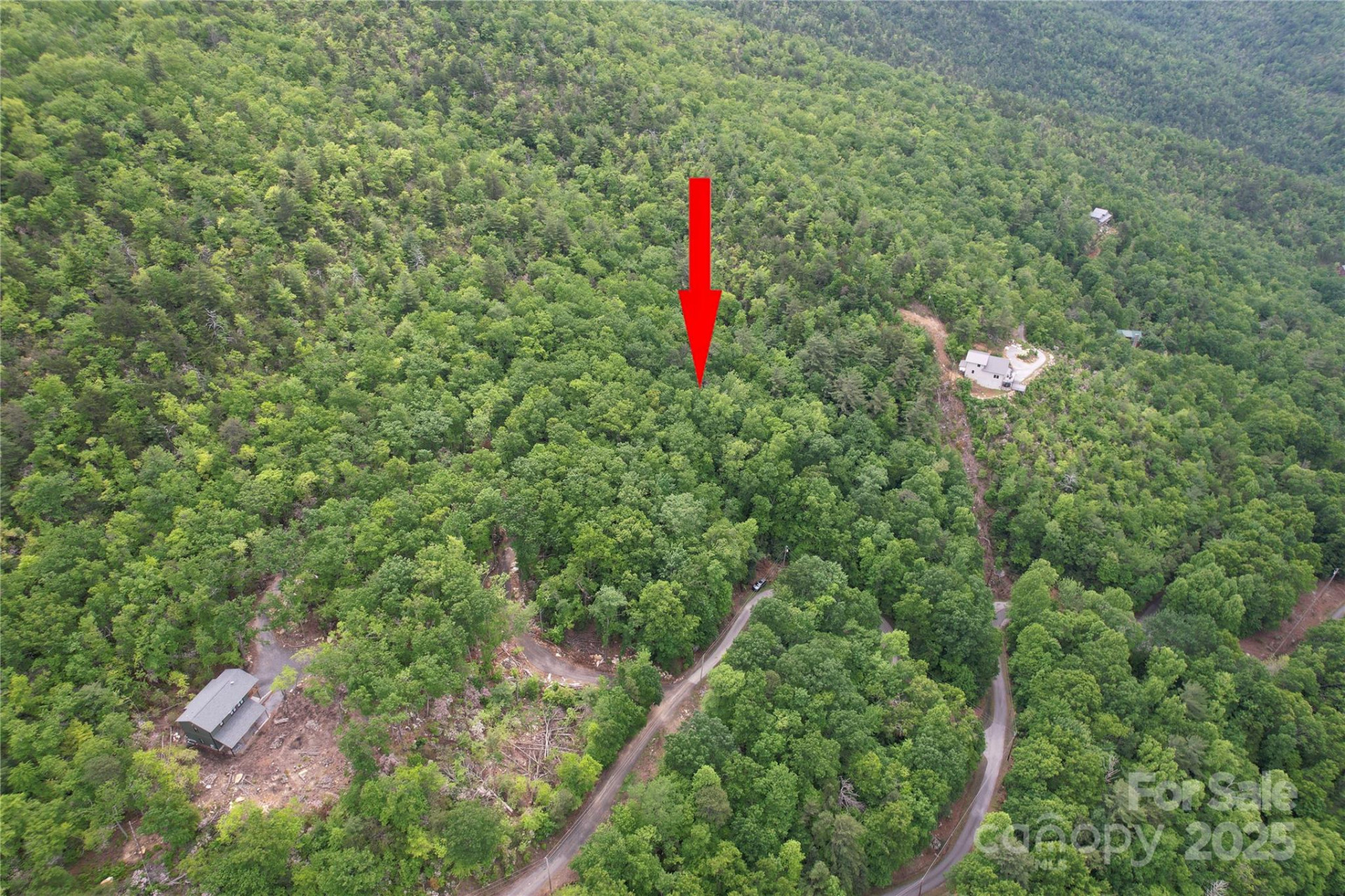 TBD Ridge Cove Drive #54 & 55 - Photo 33