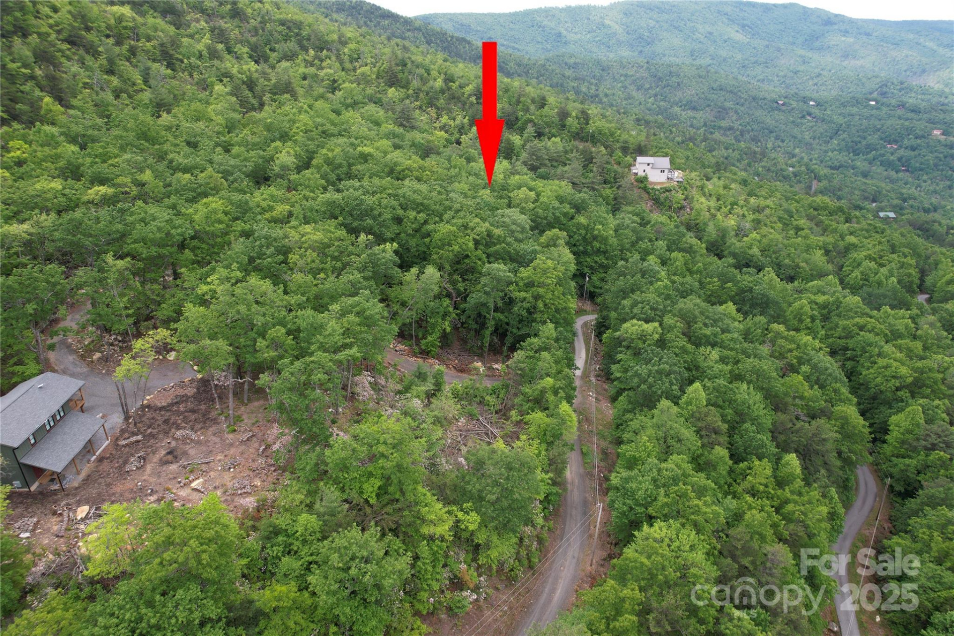 TBD Ridge Cove Drive #54 & 55 - Photo 34