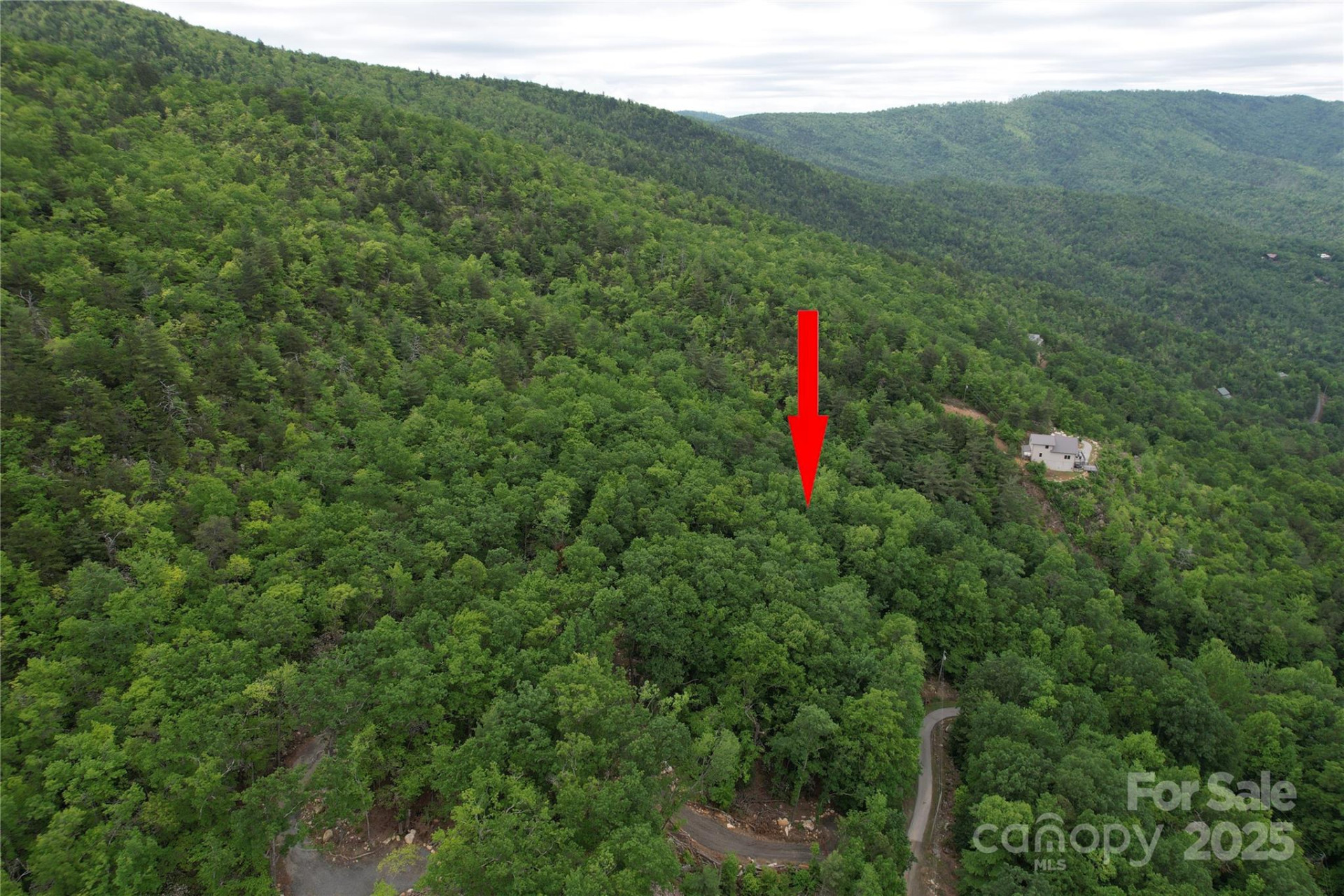 TBD Ridge Cove Drive #54 & 55 - Photo 35