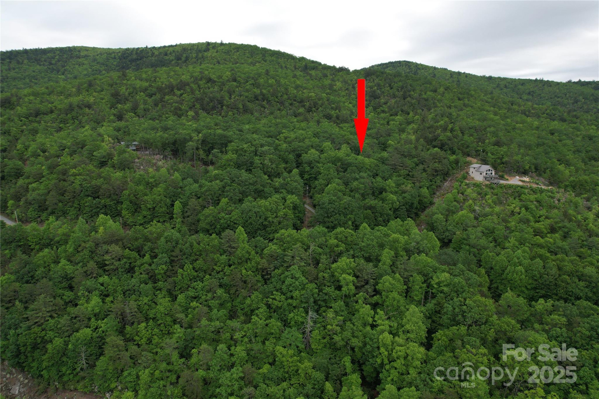 TBD Ridge Cove Drive #54 & 55 - Photo 36