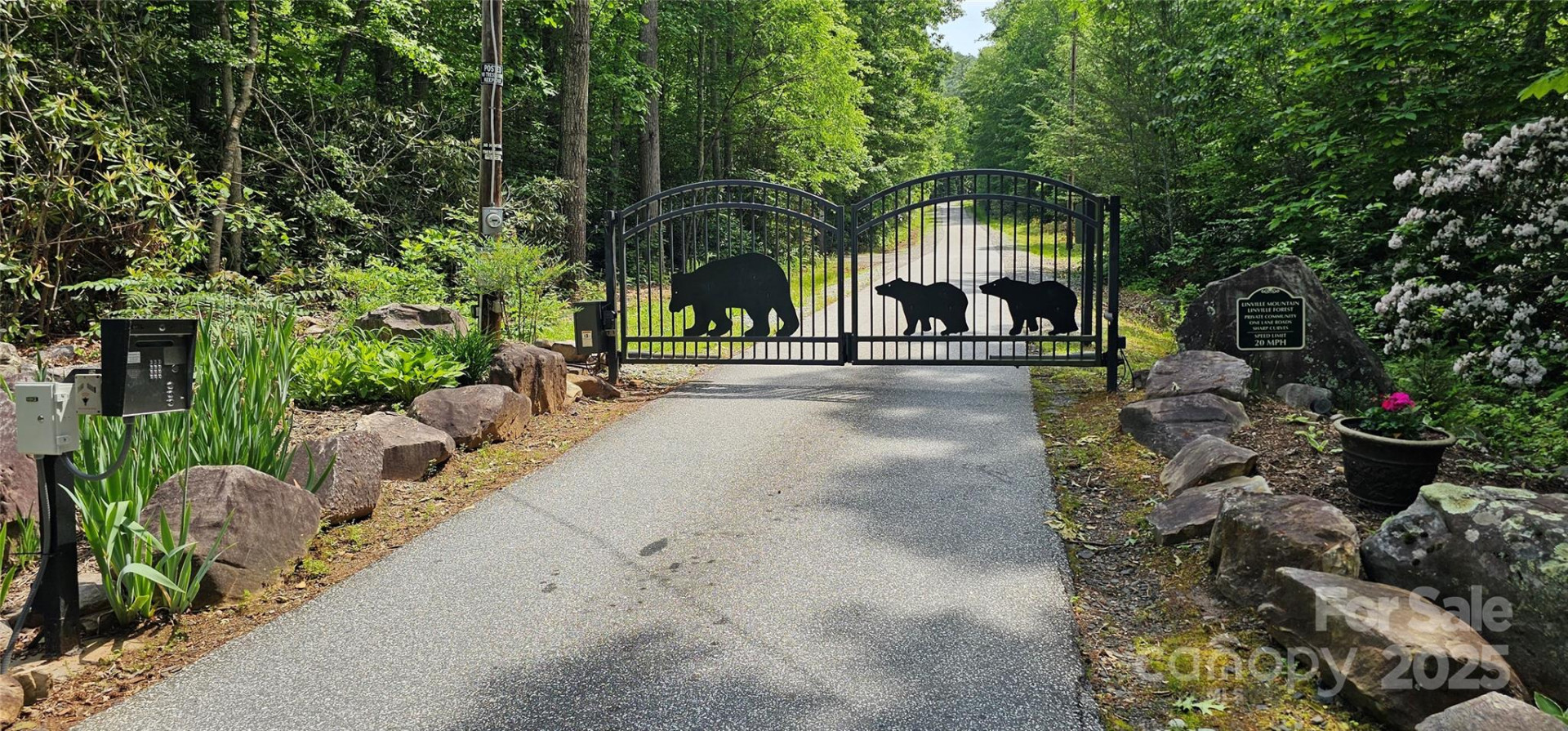 TBD Ridge Cove Drive #54 & 55 - Photo 5