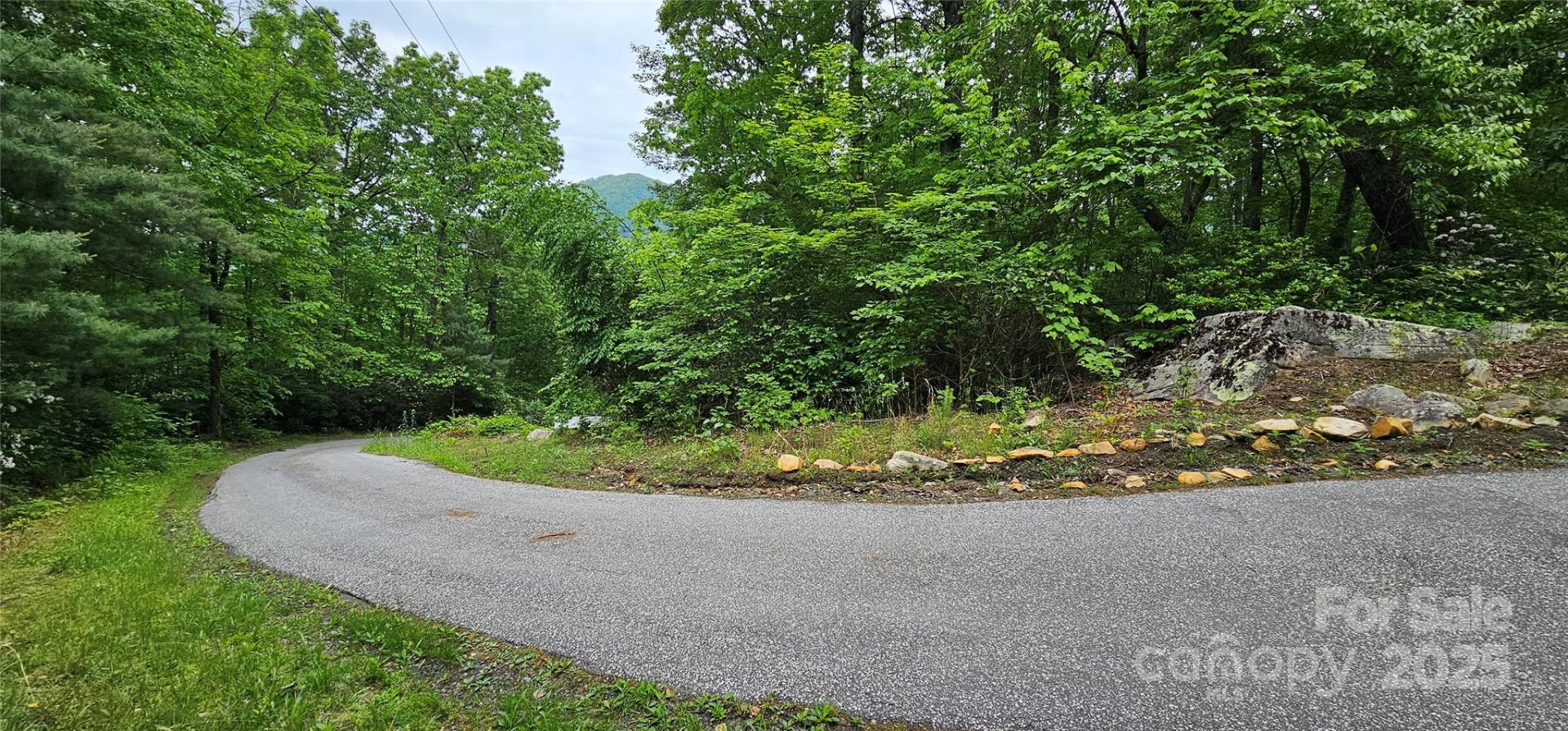 TBD Ridge Cove Drive #54 & 55 - Photo 6