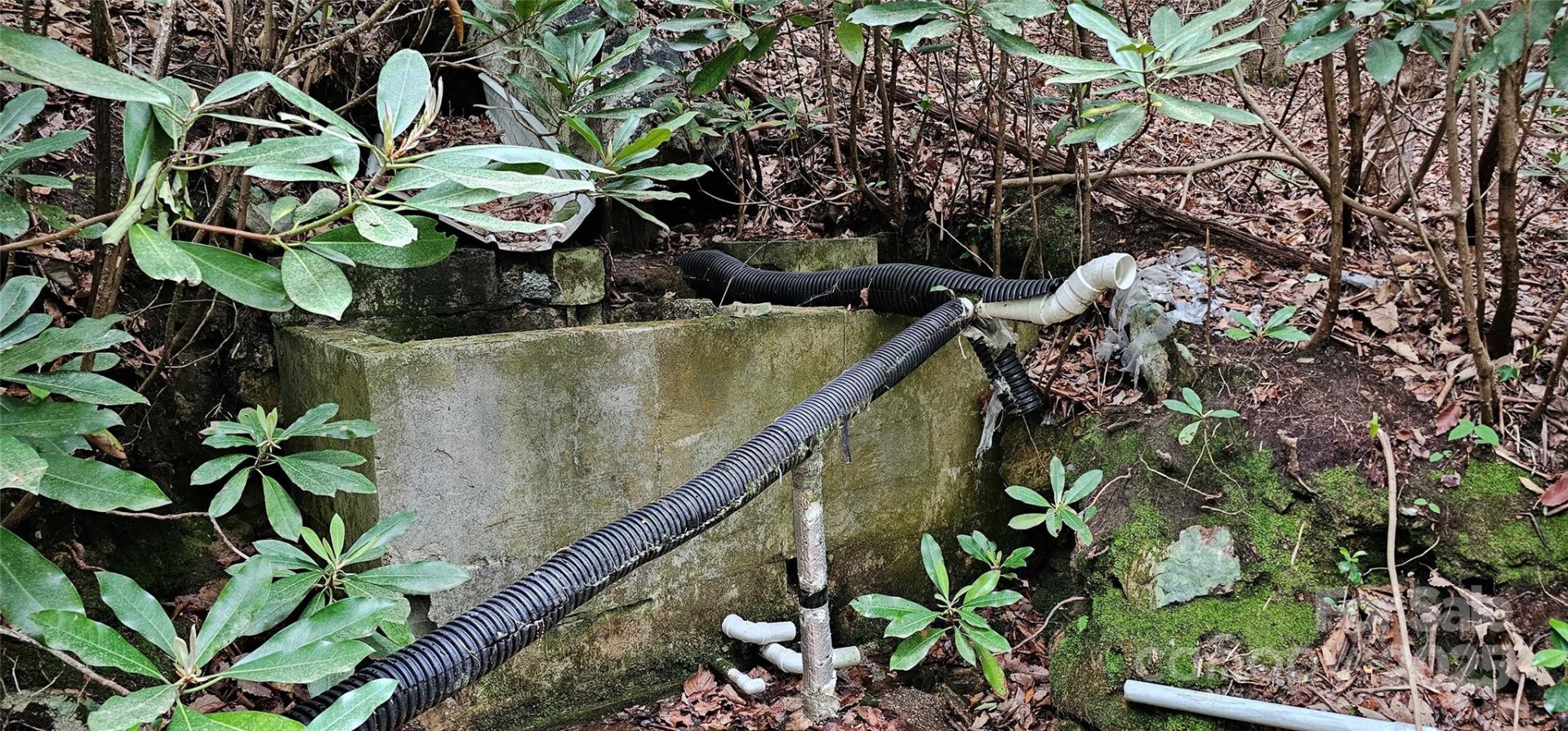 TBD Ridge Cove Drive #54 & 55 - Photo 8