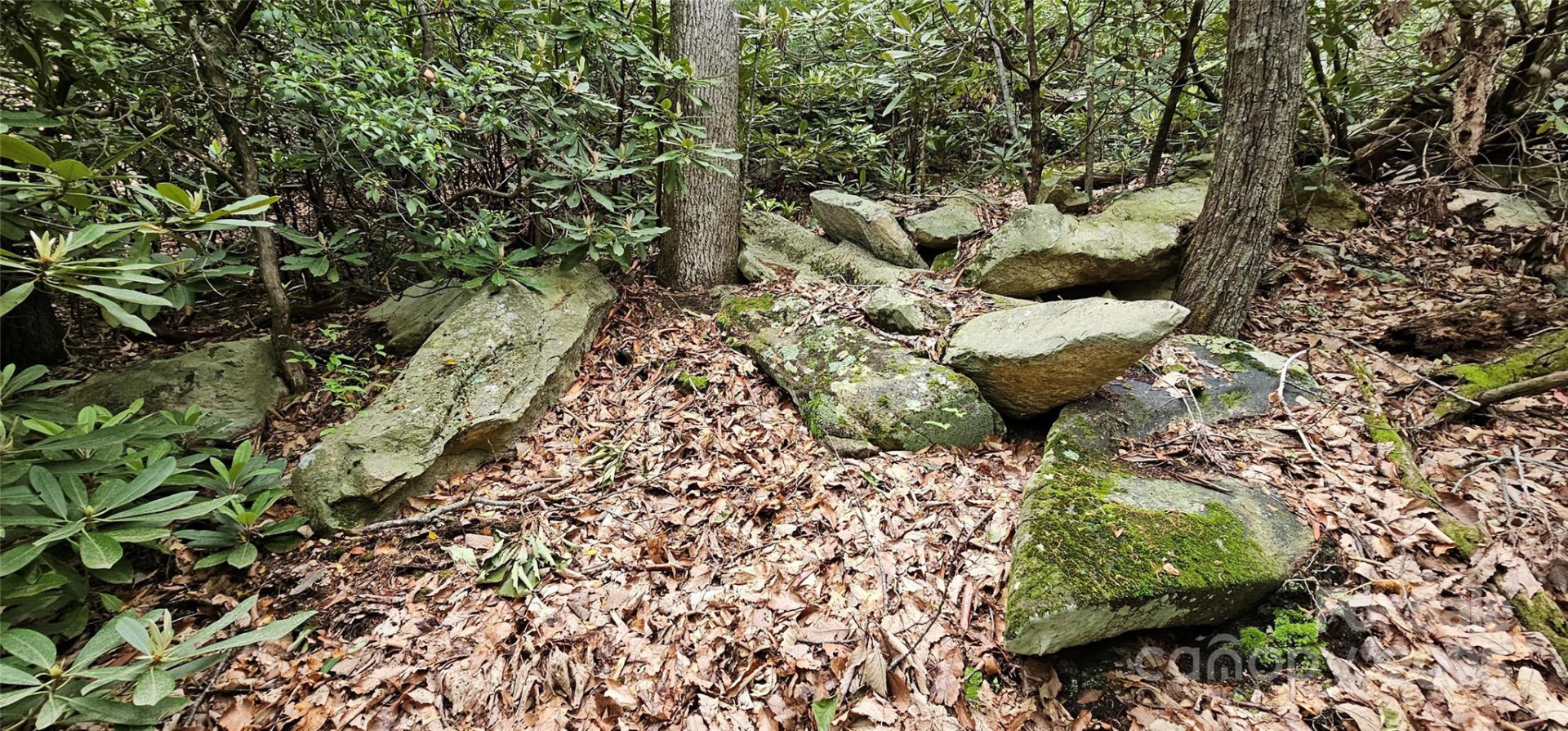 TBD Ridge Cove Drive #54 & 55 - Photo 9