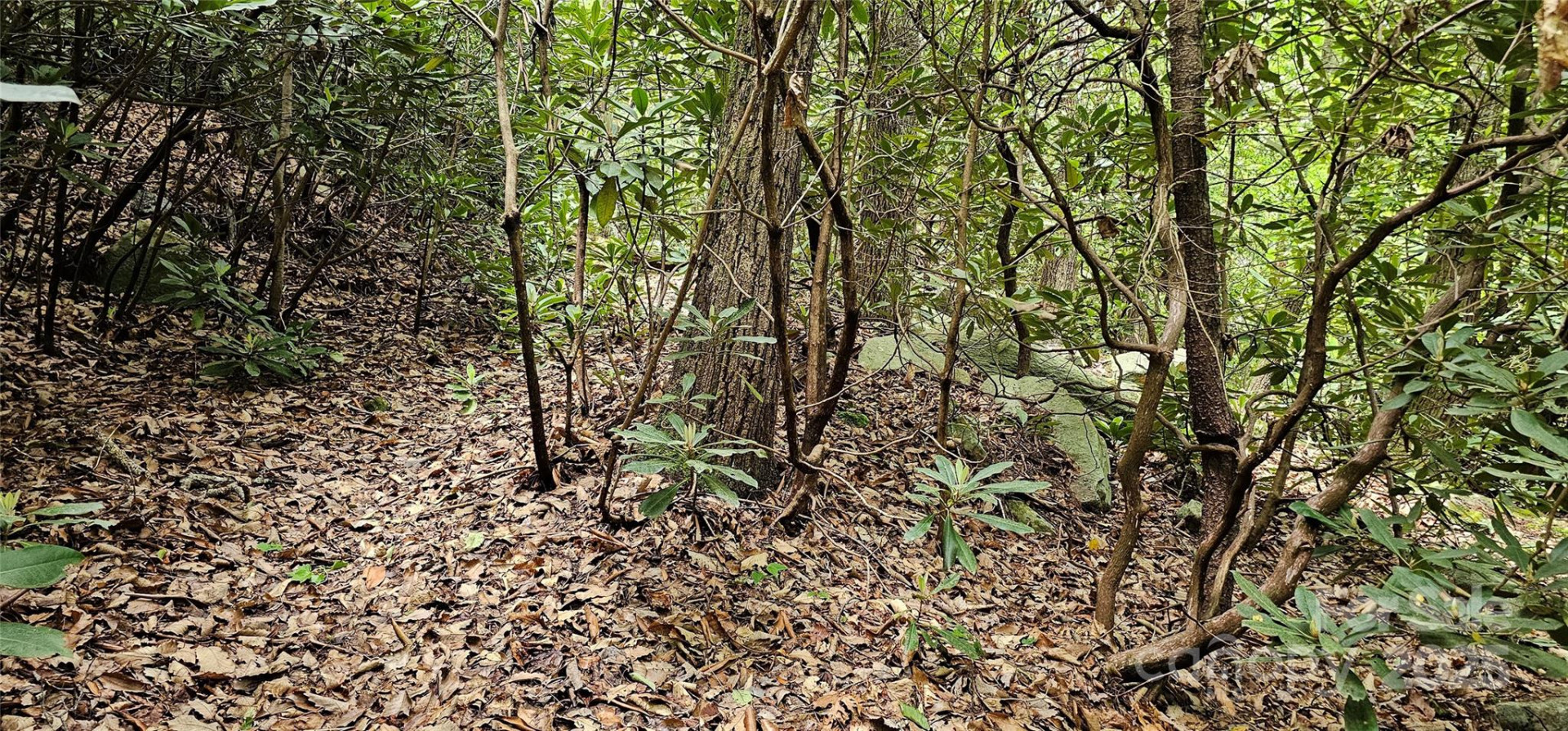 TBD Ridge Cove Drive #54 & 55 - Photo 10