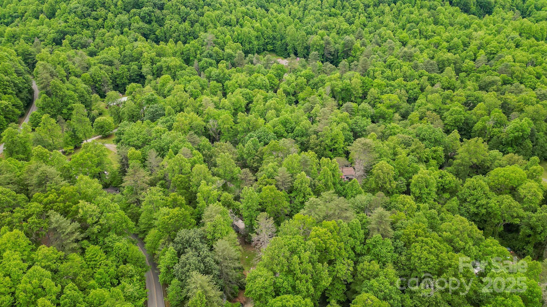 140 Old CCC Road - Photo 3