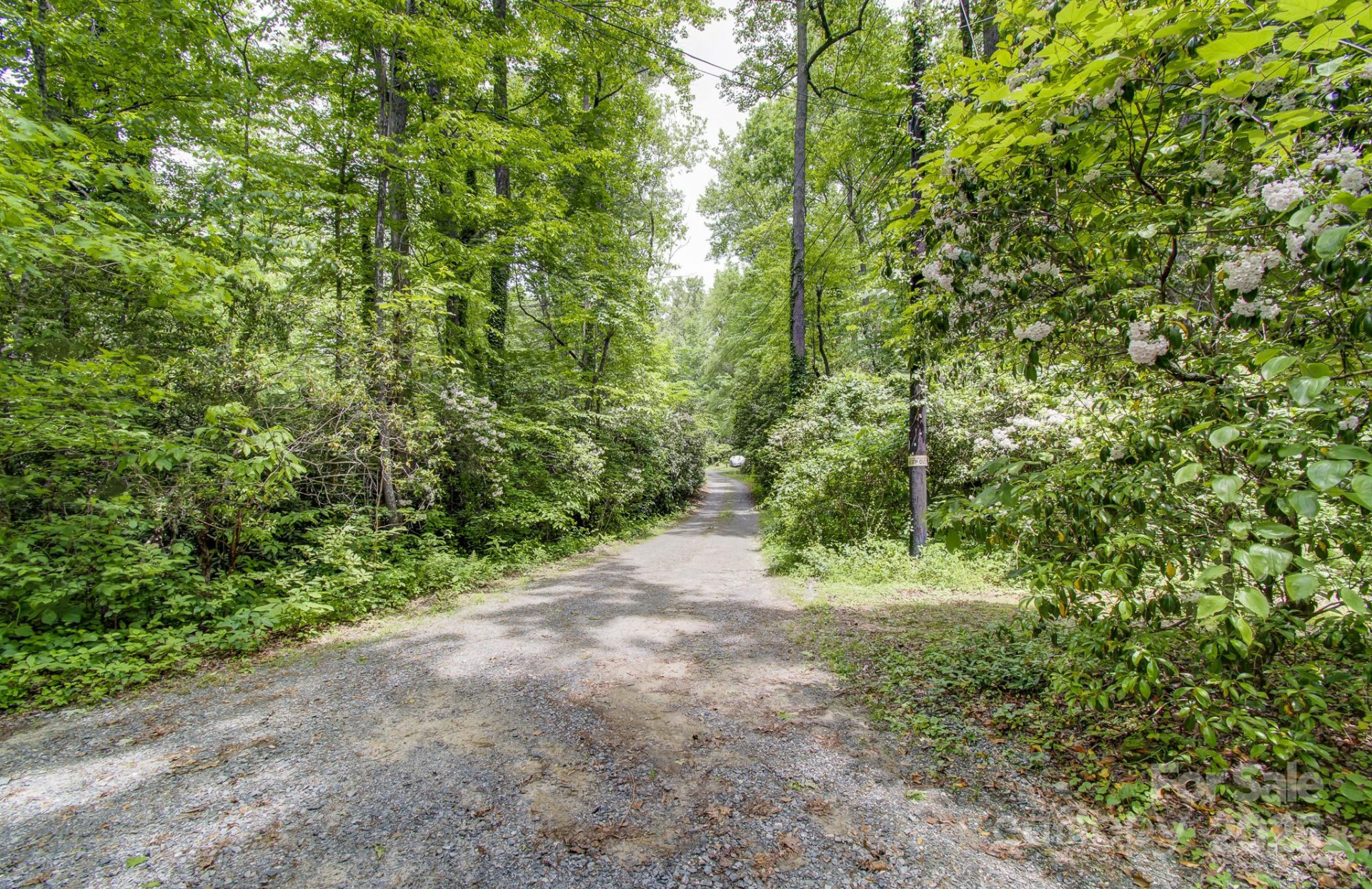 140 Old CCC Road - Photo 26