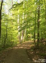 236 Mountain Island Drive #40 - Photo 29