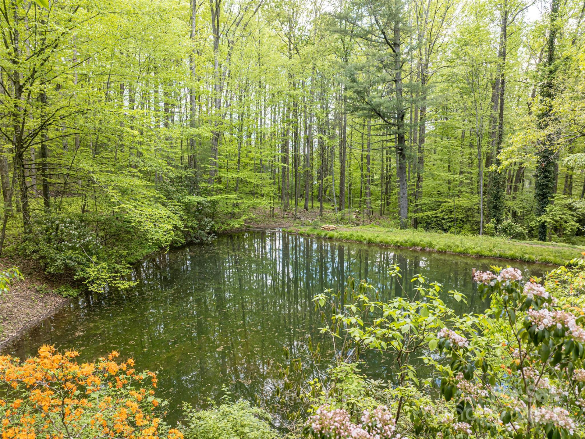 1161 Crab Creek Road - Photo 5