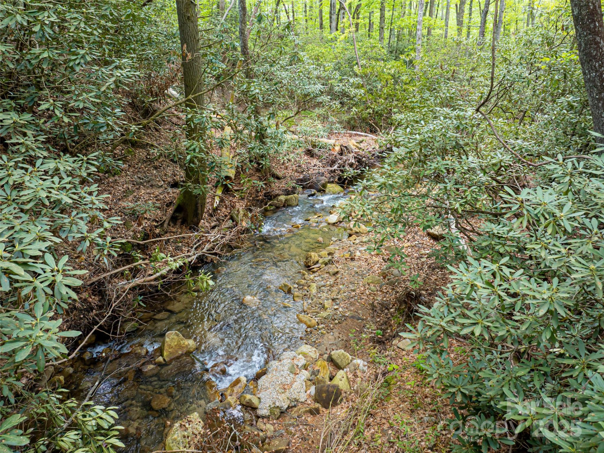 1161 Crab Creek Road - Photo 42