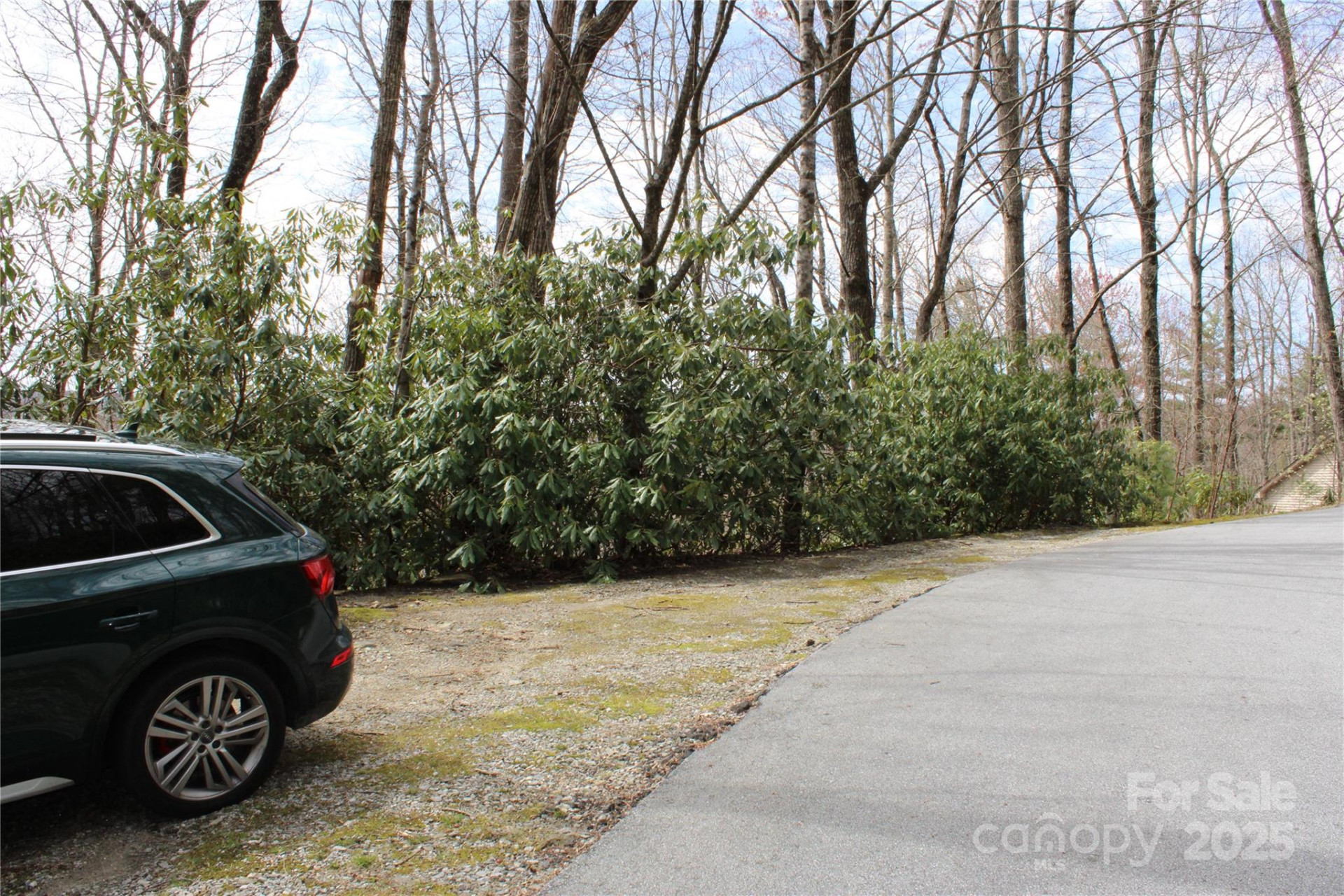 Lot 96 Black Oak Drive #96 - Photo 2