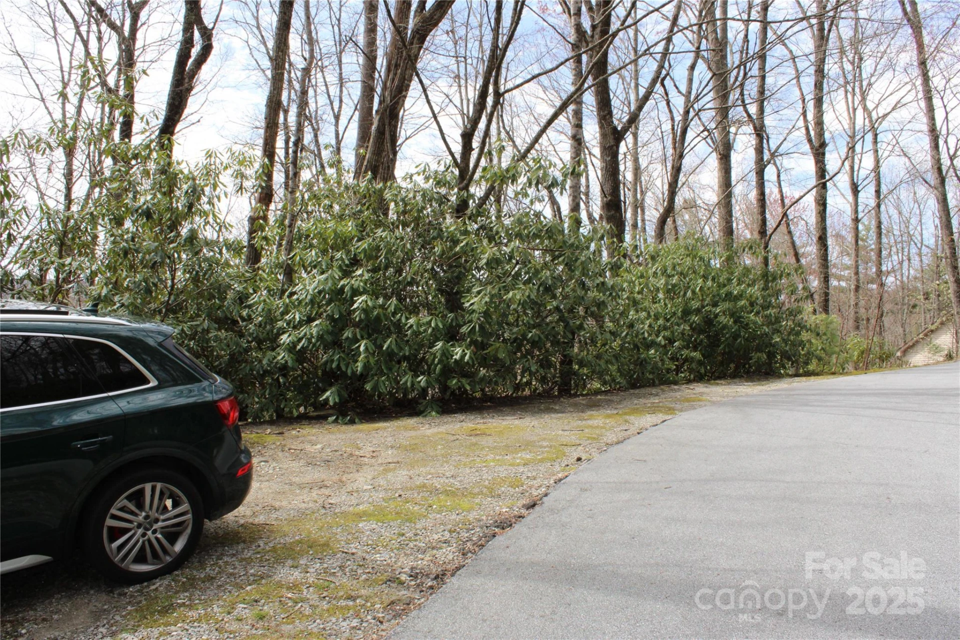 Lot 96 Black Oak Drive #96 - Photo 2