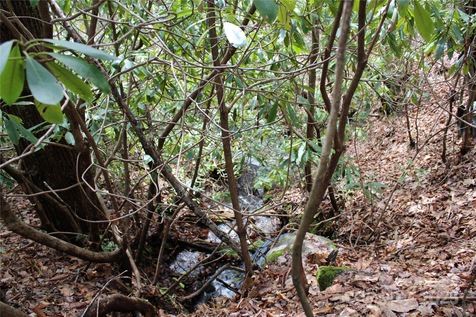 Lot 96 Black Oak Drive #96 - Photo 11