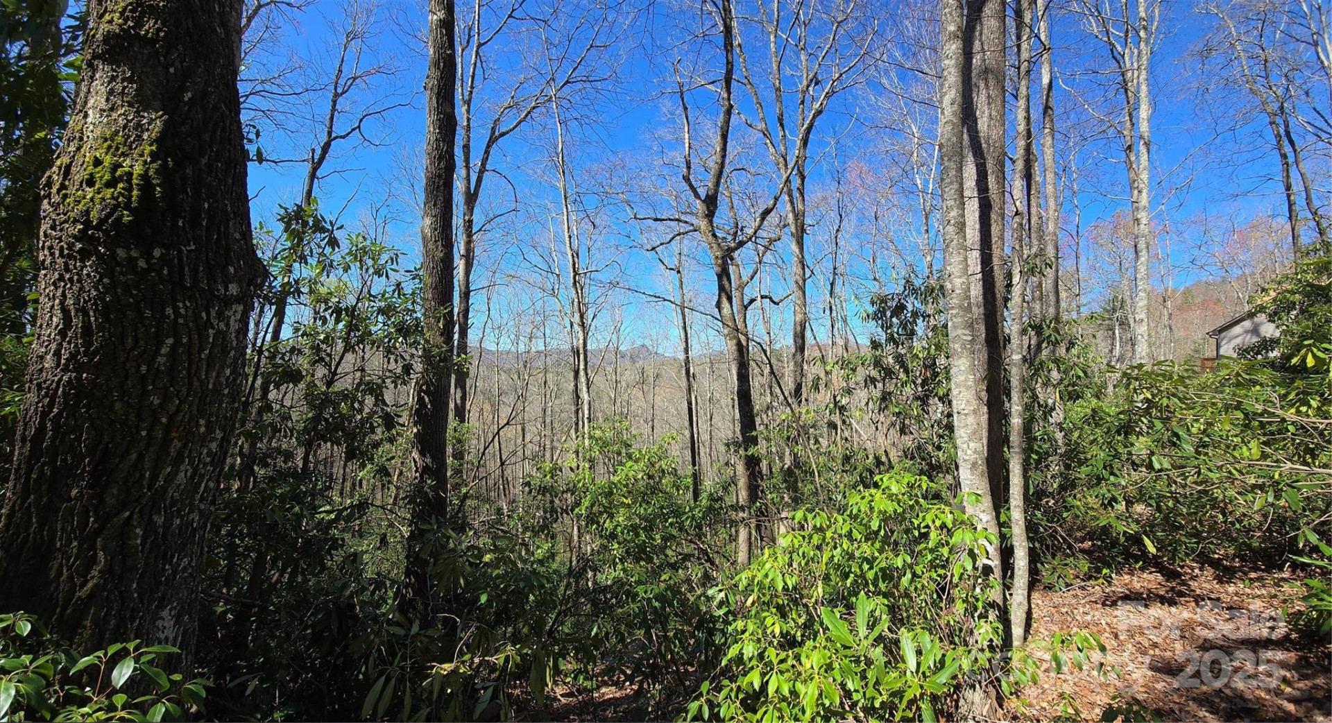 Lot 96 Black Oak Drive #96 - Photo 5