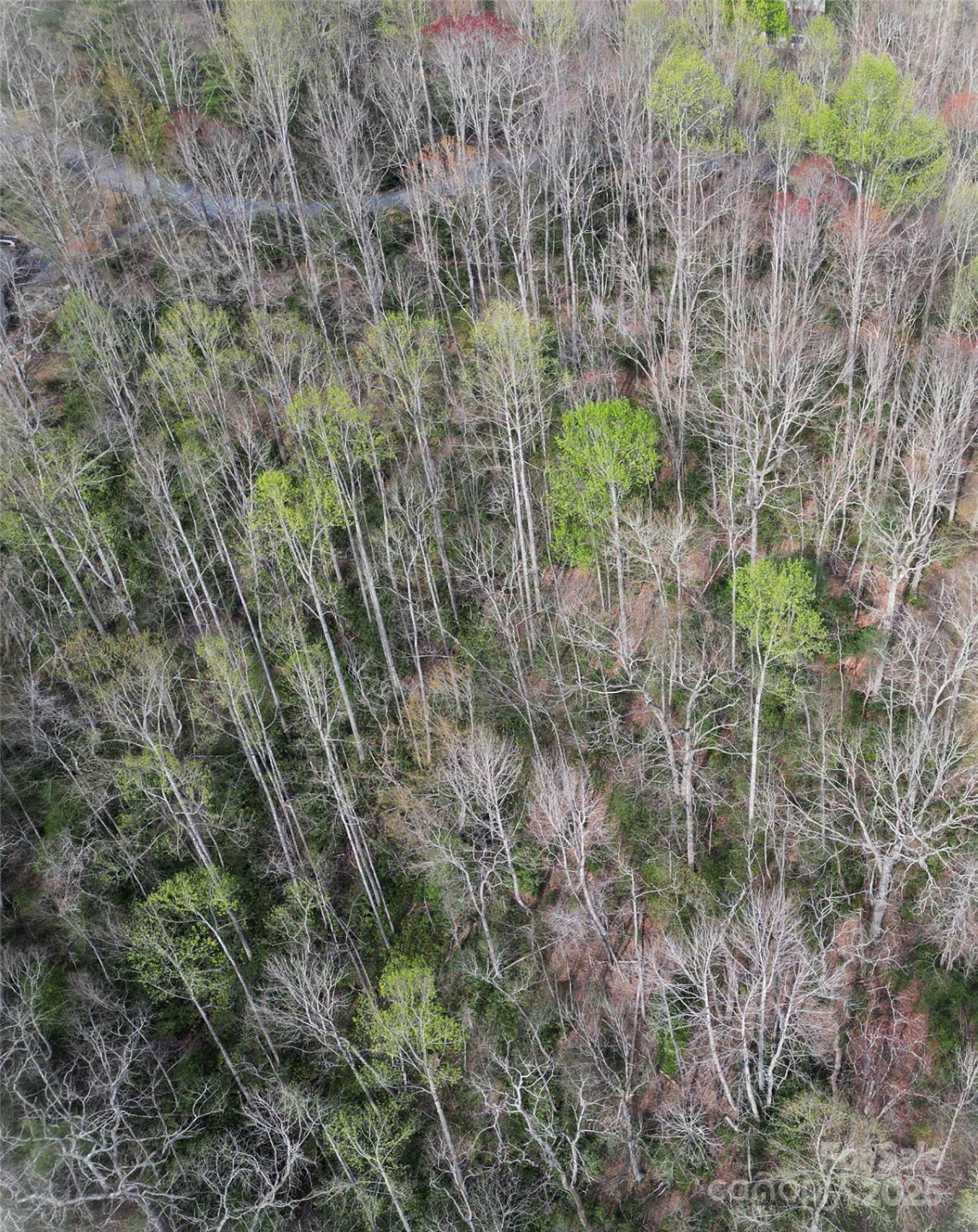 Lot 96 Black Oak Drive #96 - Photo 6