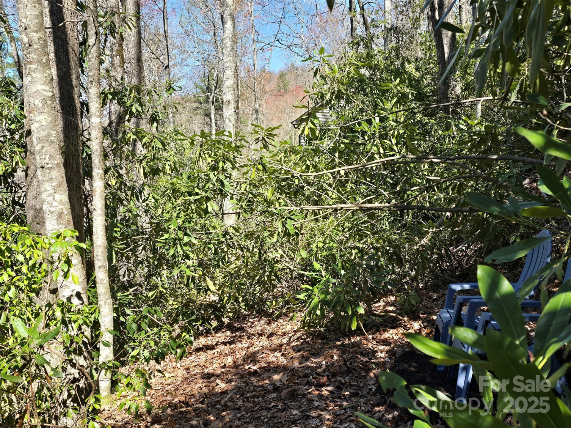 Lot 96 Black Oak Drive #96 - Photo 7