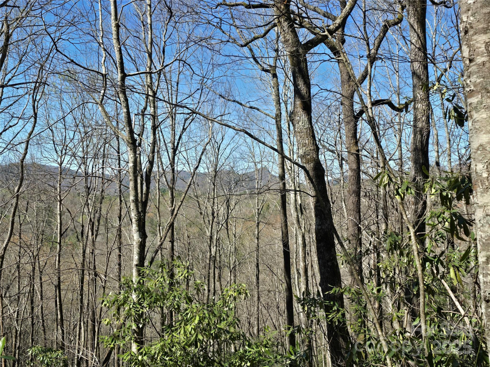 Lot 96 Black Oak Drive #96 - Photo 8