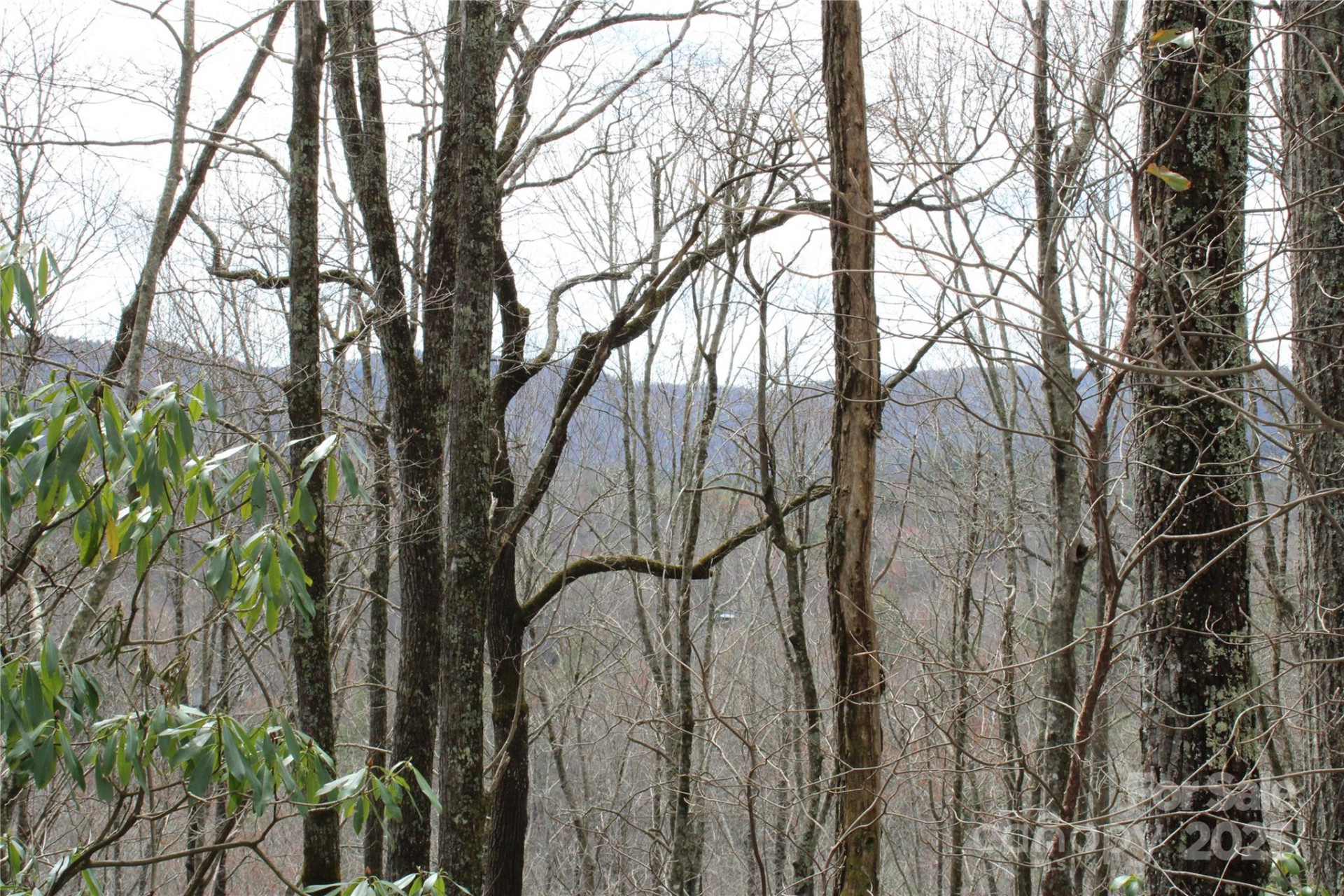 Lot 96 Black Oak Drive #96 - Photo 9