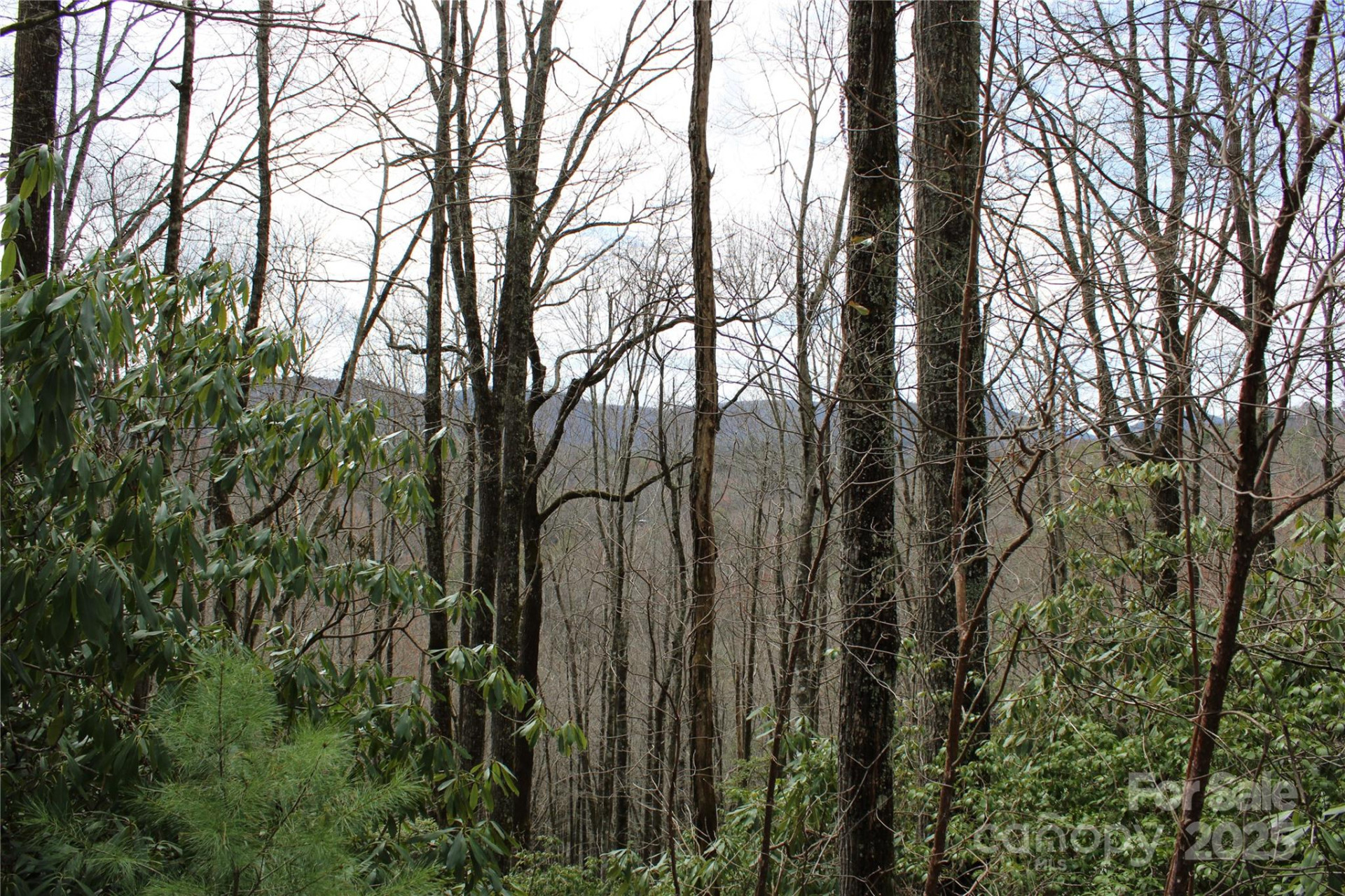 Lot 96 Black Oak Drive #96 - Photo 10