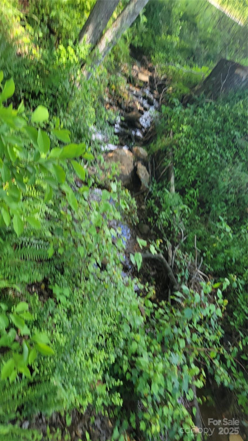 51 Barebridge Fields Road #51 - Photo 11