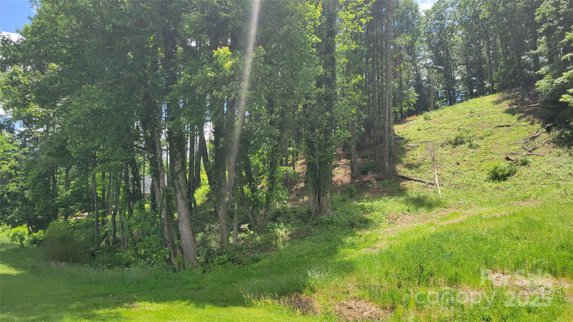 51 Barebridge Fields Road #51 - Photo 12