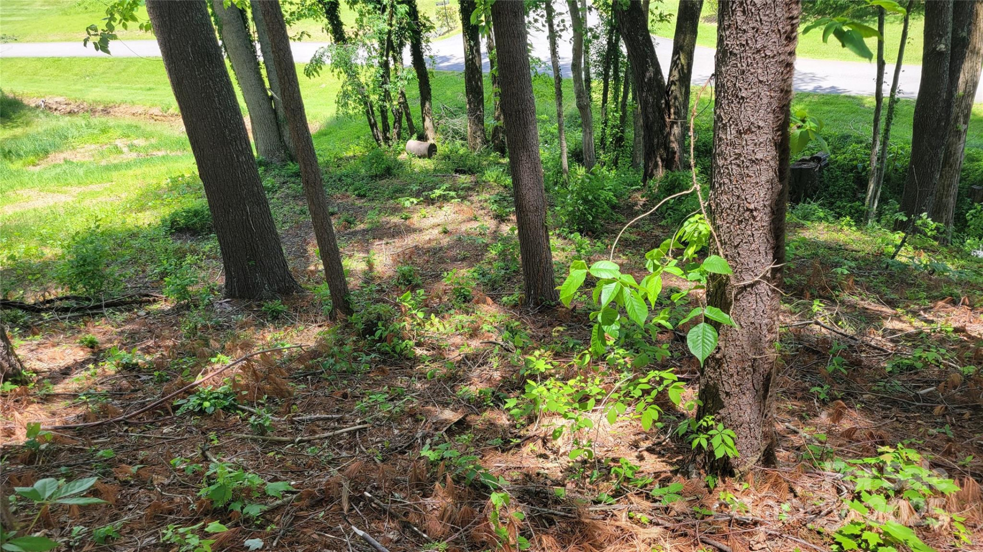 51 Barebridge Fields Road #51 - Photo 13