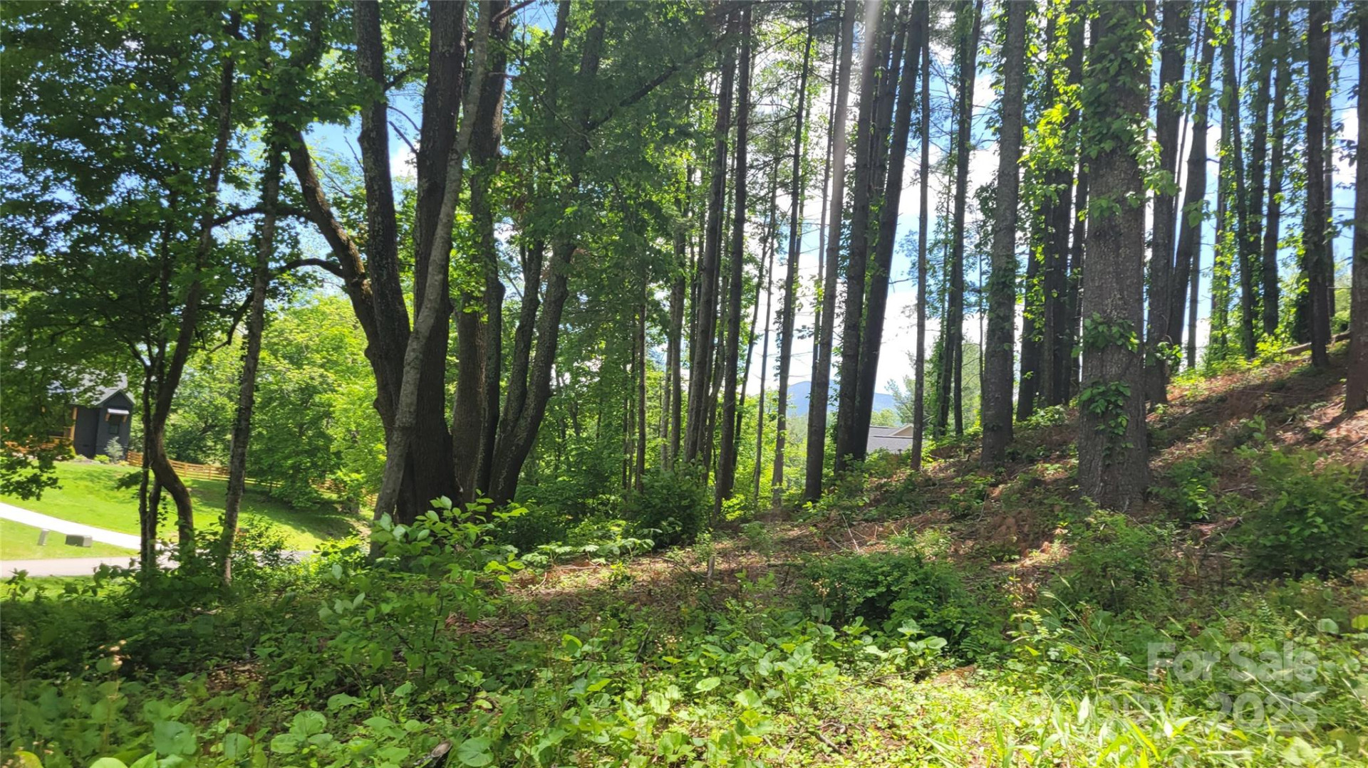 51 Barebridge Fields Road #51 - Photo 14