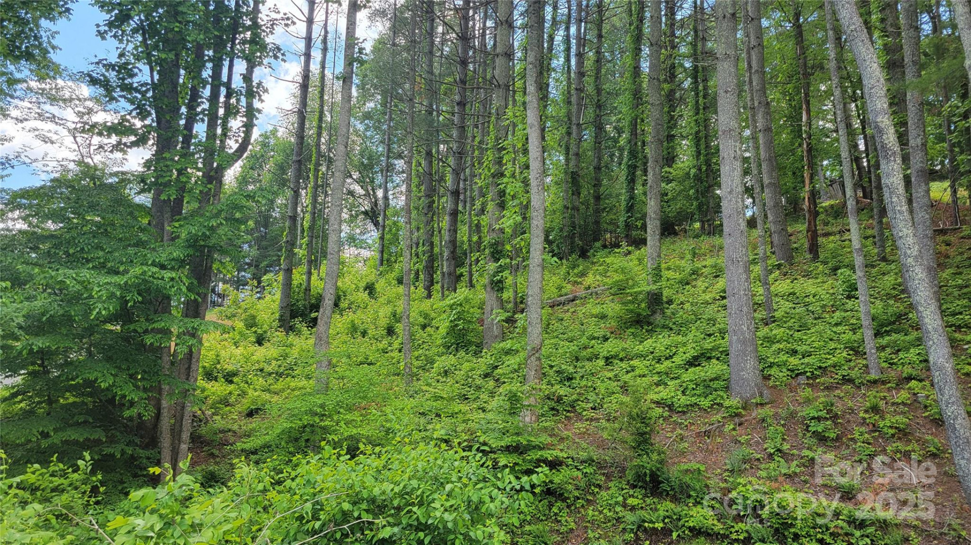 51 Barebridge Fields Road #51 - Photo 15