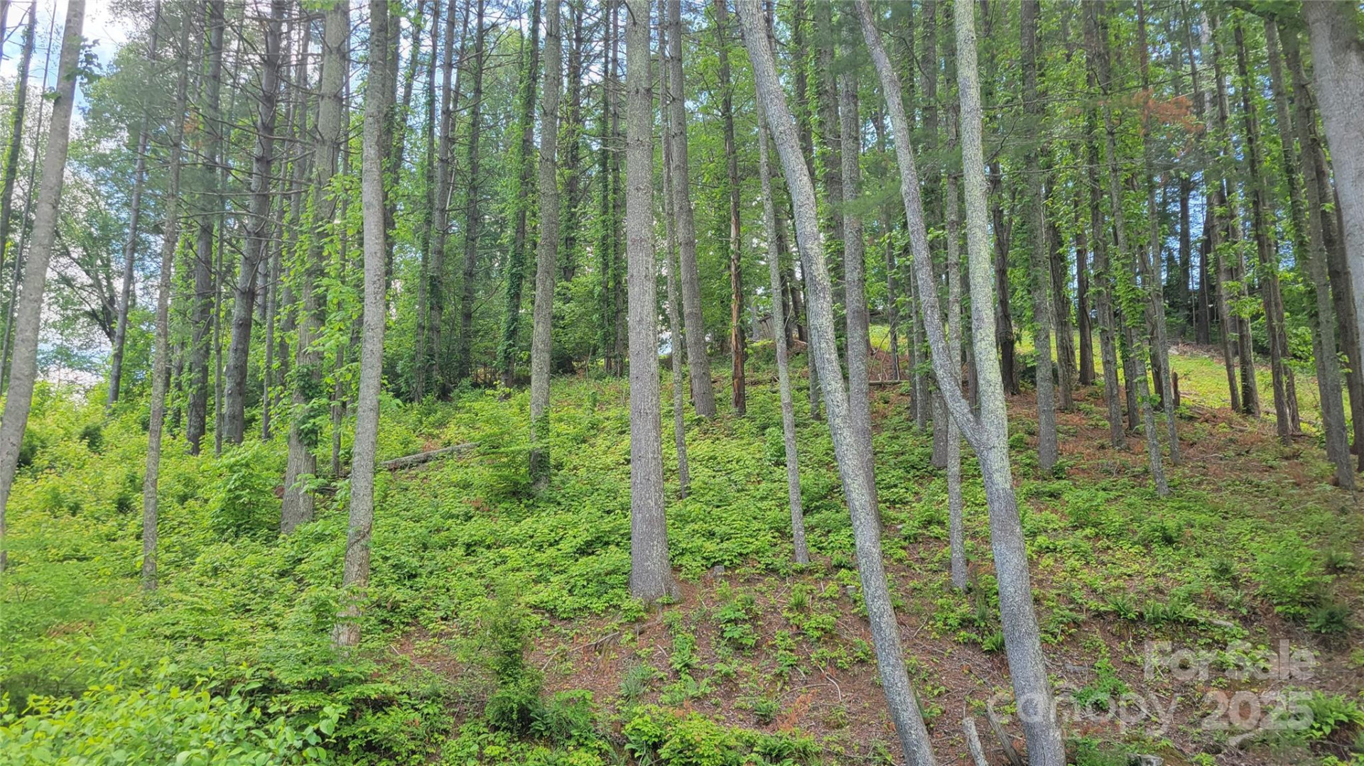 51 Barebridge Fields Road #51 - Photo 17