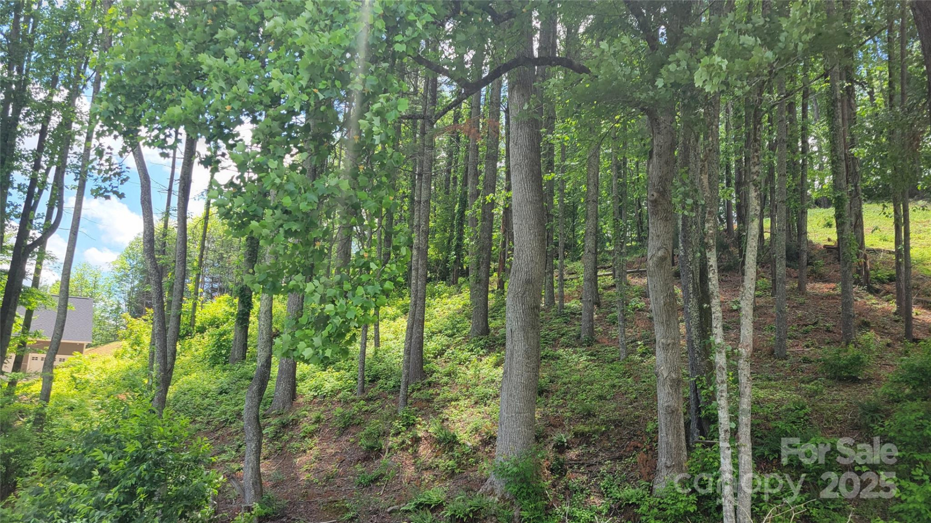 51 Barebridge Fields Road #51 - Photo 19