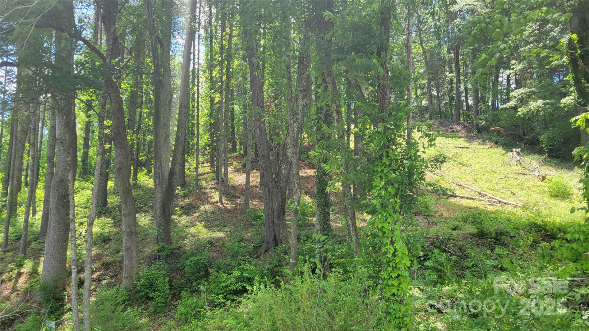 51 Barebridge Fields Road #51 - Photo 20