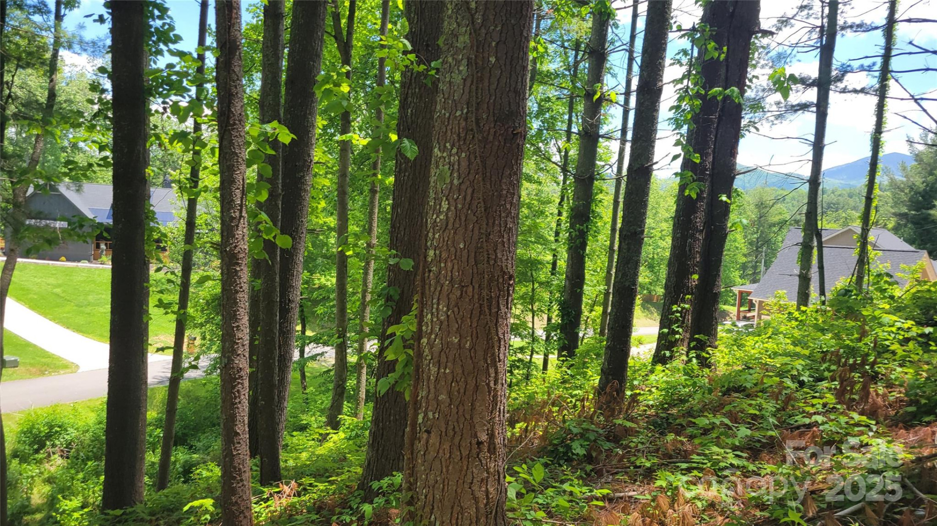 51 Barebridge Fields Road #51 - Photo 3