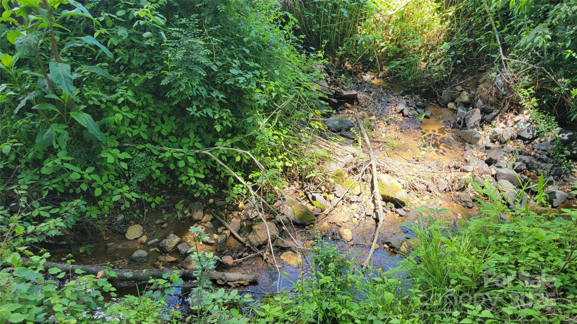 51 Barebridge Fields Road #51 - Photo 5